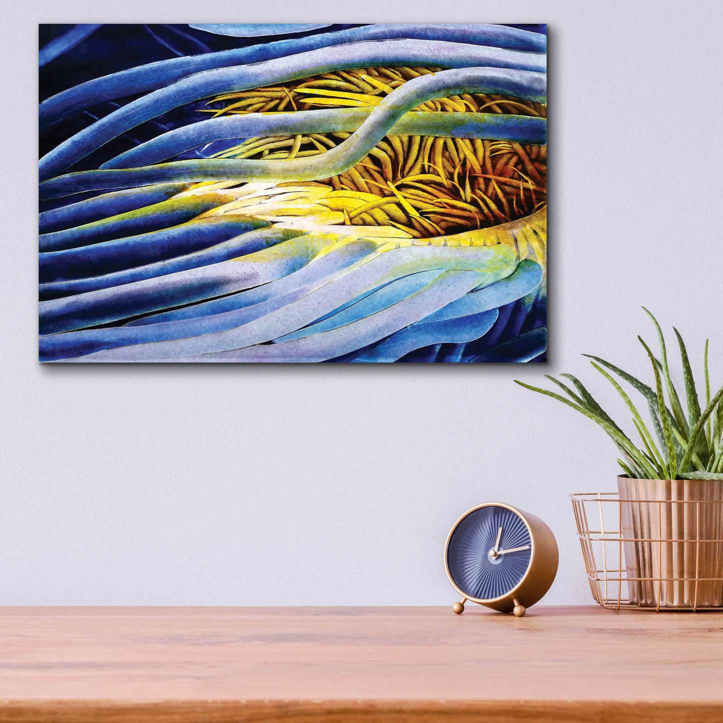 Epic Art 'Anemone Cerianthid' by Rita Shimelfarb, Acrylic Glass Wall Art,16x12