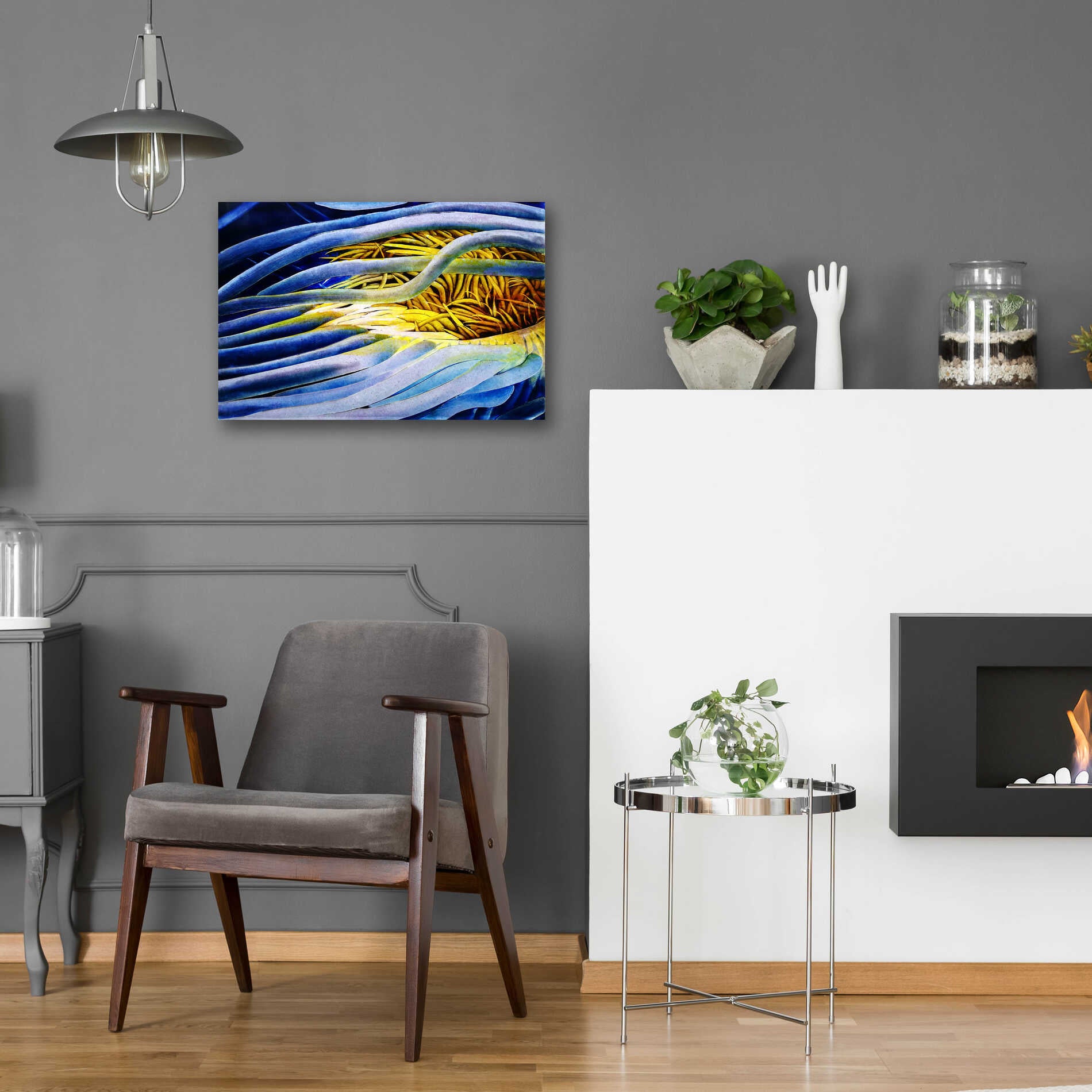 Epic Art 'Anemone Cerianthid' by Rita Shimelfarb, Acrylic Glass Wall Art,24x16