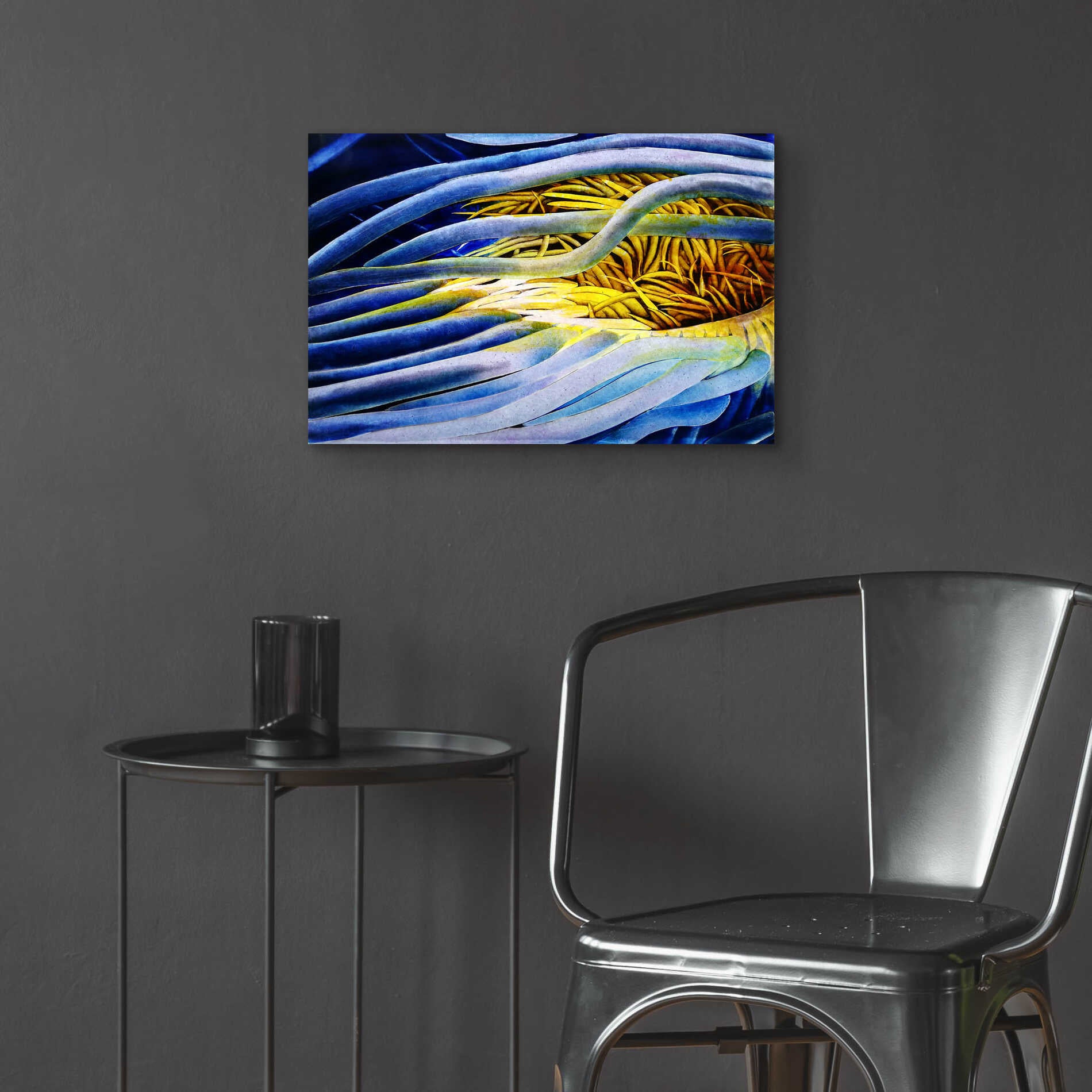 Epic Art 'Anemone Cerianthid' by Rita Shimelfarb, Acrylic Glass Wall Art,24x16