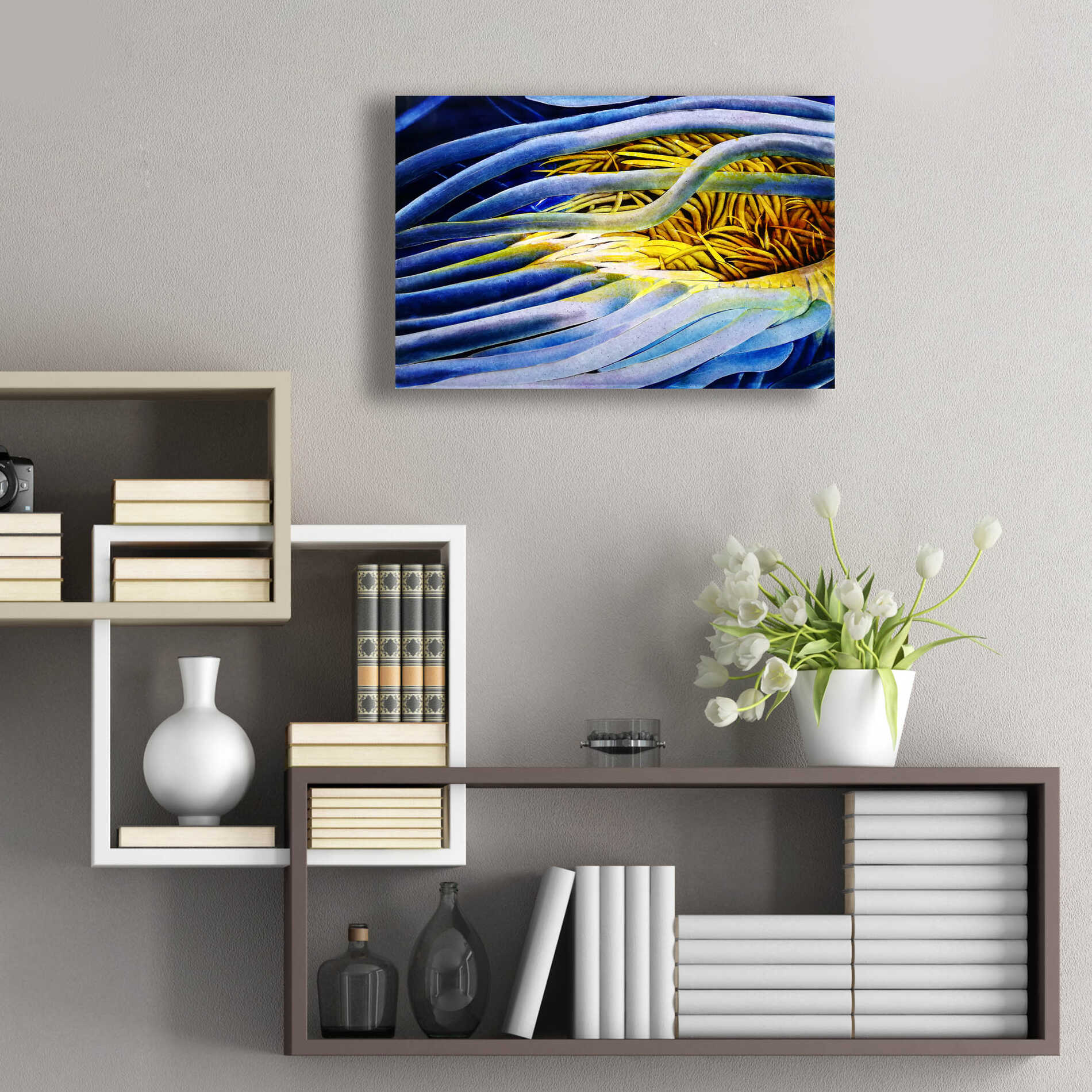 Epic Art 'Anemone Cerianthid' by Rita Shimelfarb, Acrylic Glass Wall Art,24x16