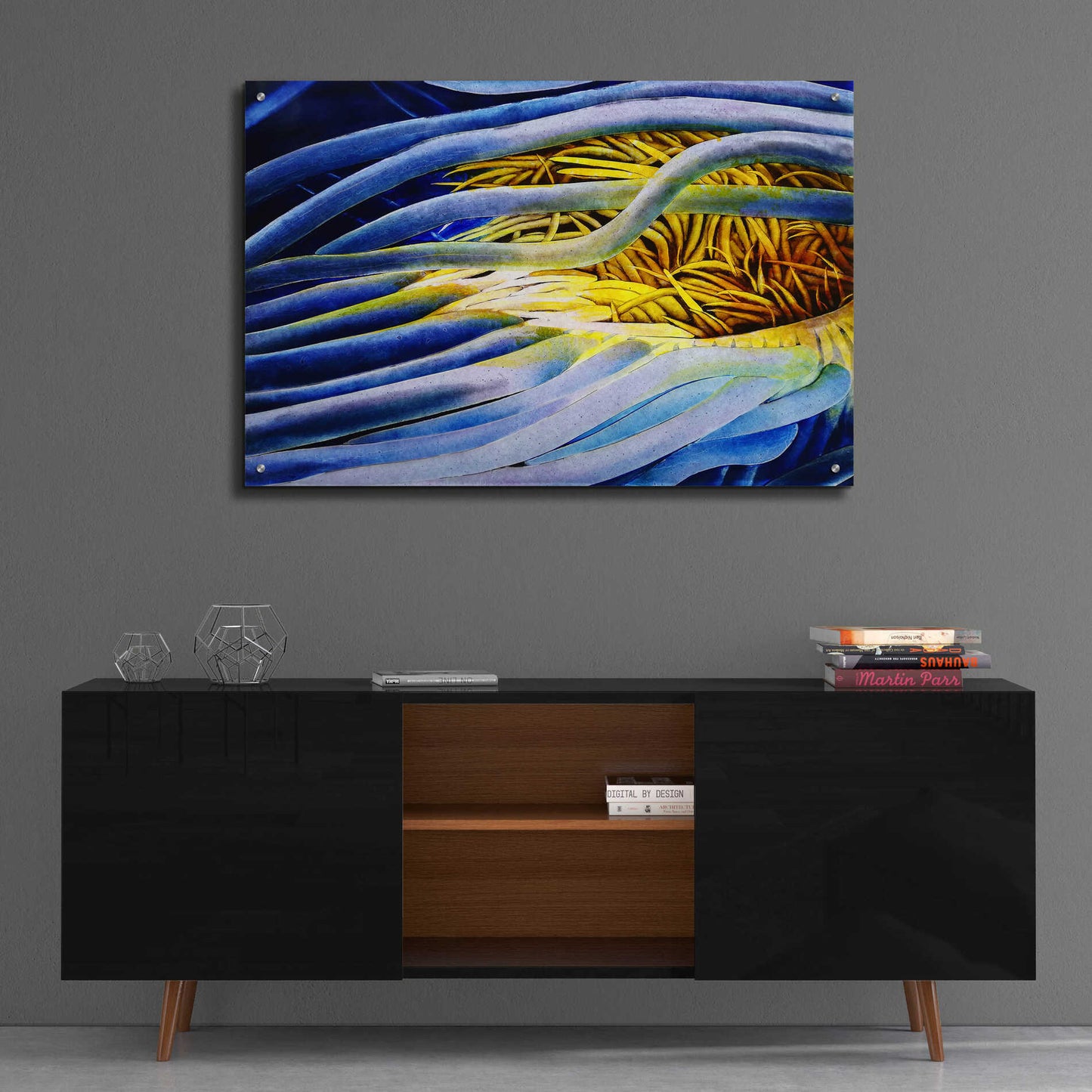 Epic Art 'Anemone Cerianthid' by Rita Shimelfarb, Acrylic Glass Wall Art,36x24