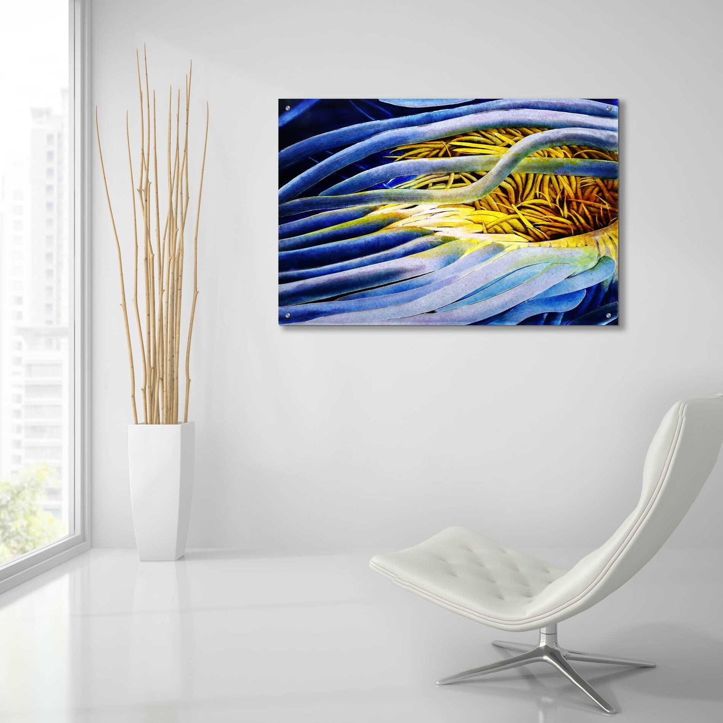 Epic Art 'Anemone Cerianthid' by Rita Shimelfarb, Acrylic Glass Wall Art,36x24