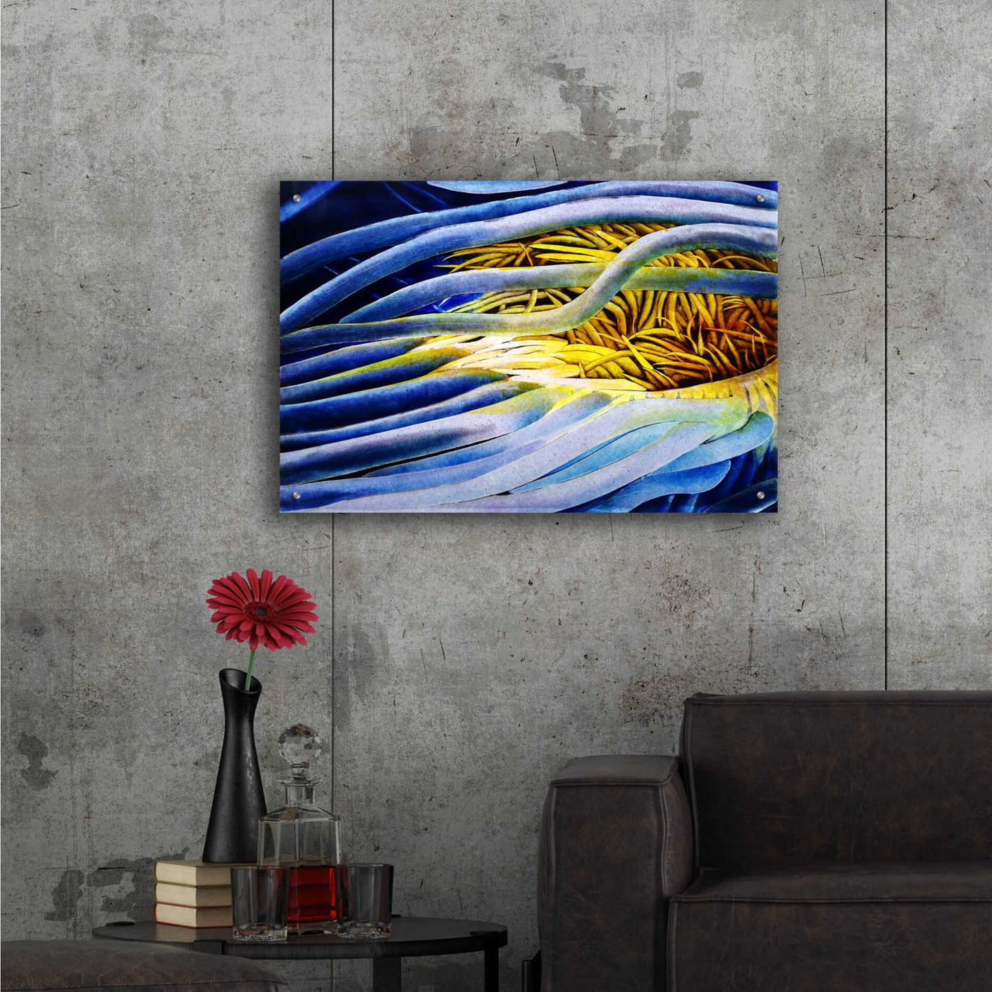 Epic Art 'Anemone Cerianthid' by Rita Shimelfarb, Acrylic Glass Wall Art,36x24