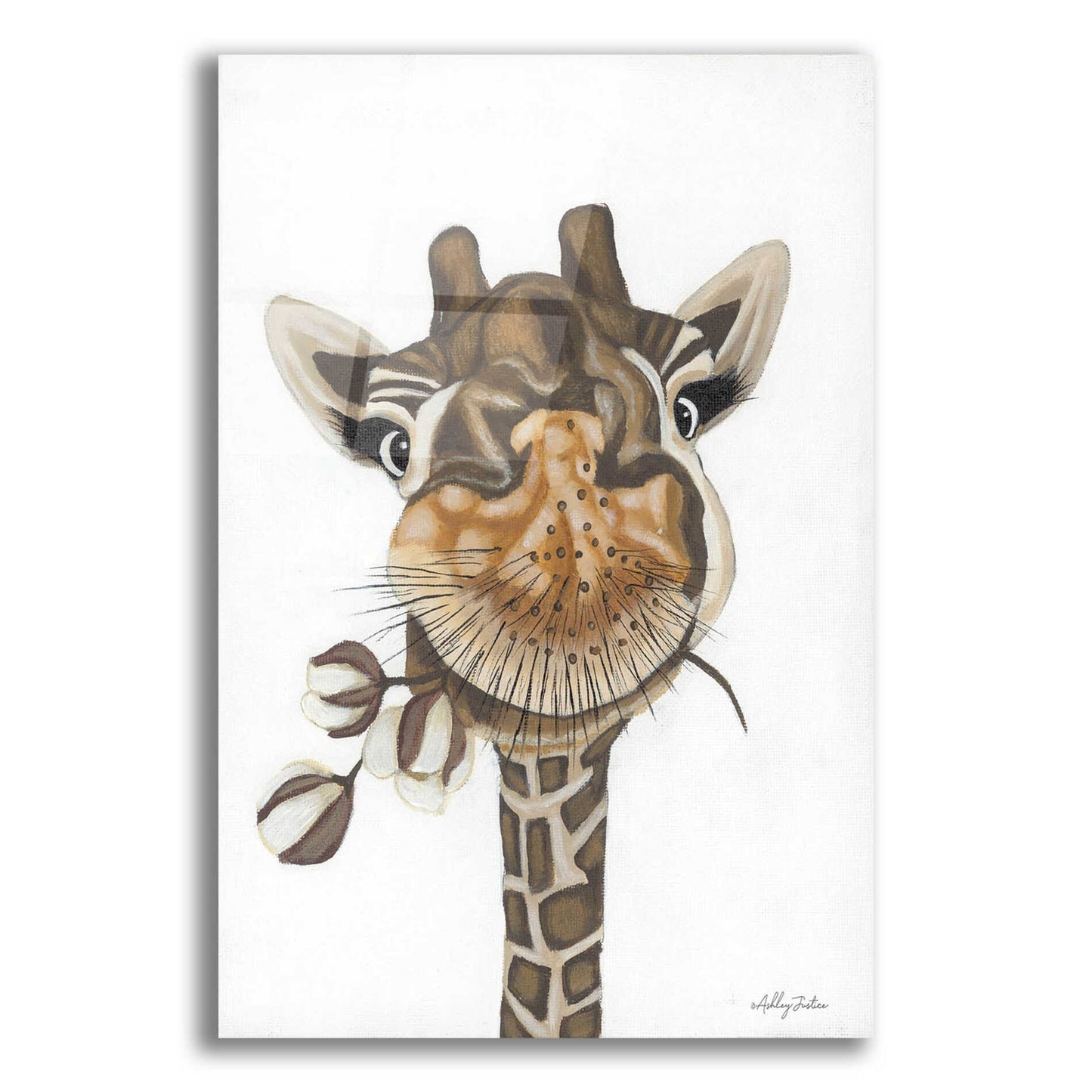 Epic Art 'Giraffe with Cotton' by Ashley Justice, Acrylic Glass Wall Art,12x16