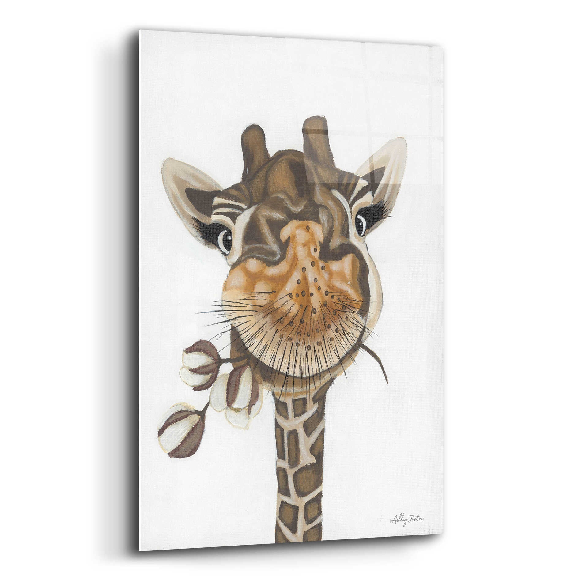 Epic Art 'Giraffe with Cotton' by Ashley Justice, Acrylic Glass Wall Art,16x24