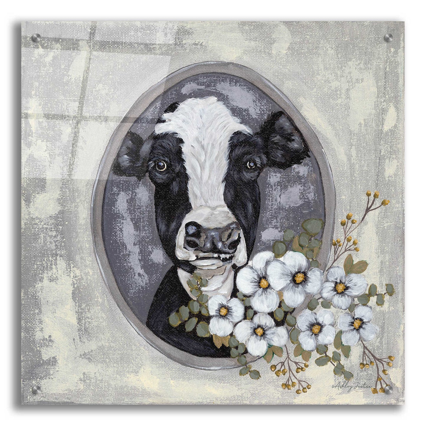 Epic Art 'Framed Cow' by Ashley Justice, Acrylic Glass Wall Art,24x24