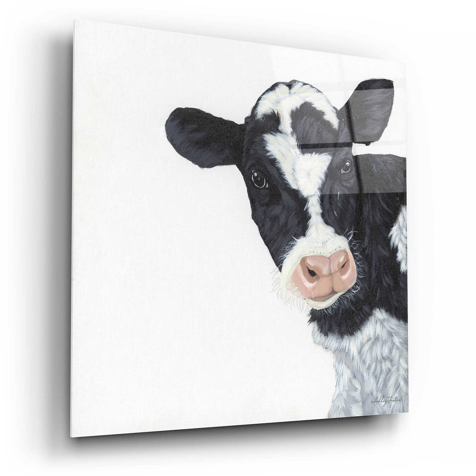 Epic Art 'Cow' by Ashley Justice, Acrylic Glass Wall Art,12x12