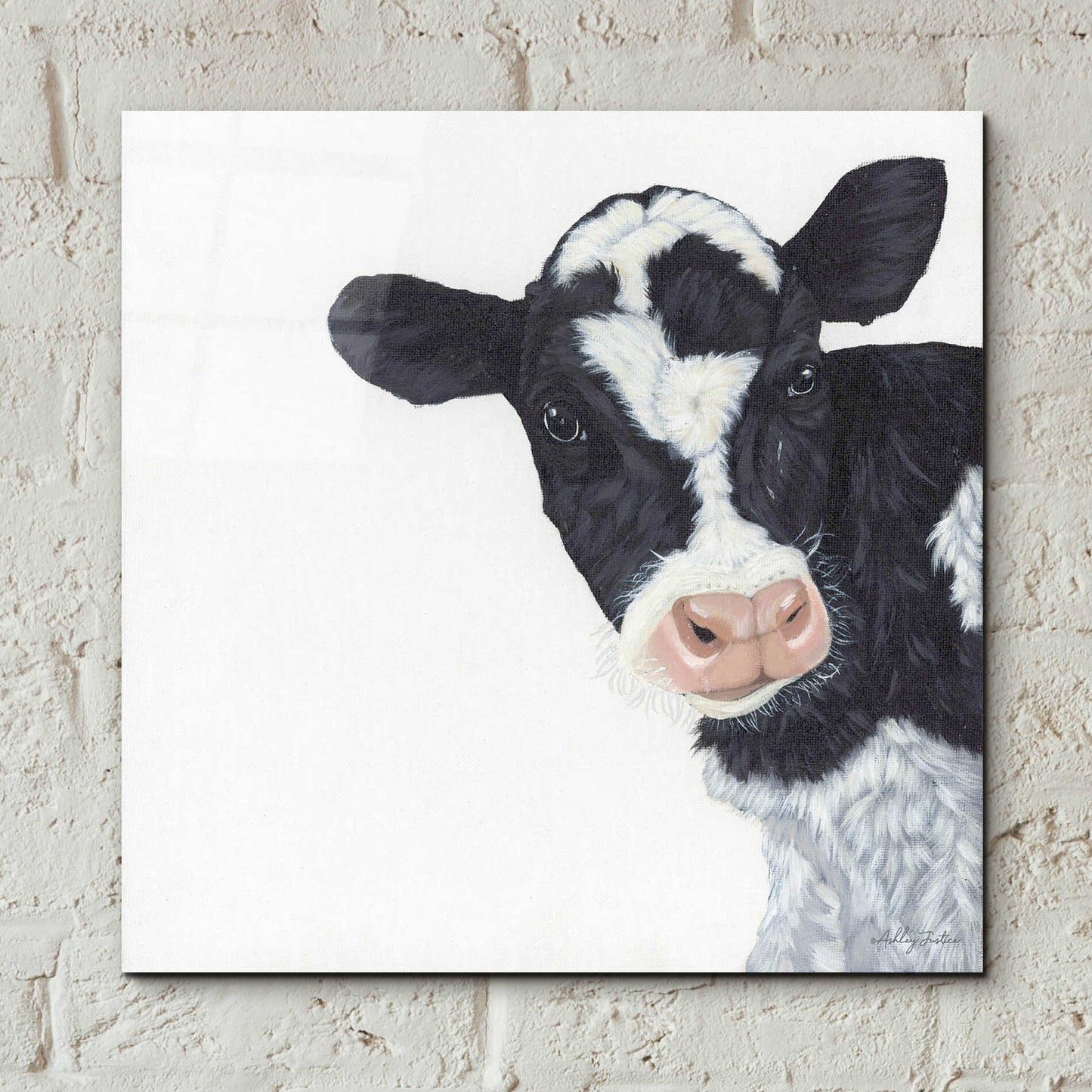 Epic Art 'Cow' by Ashley Justice, Acrylic Glass Wall Art,12x12