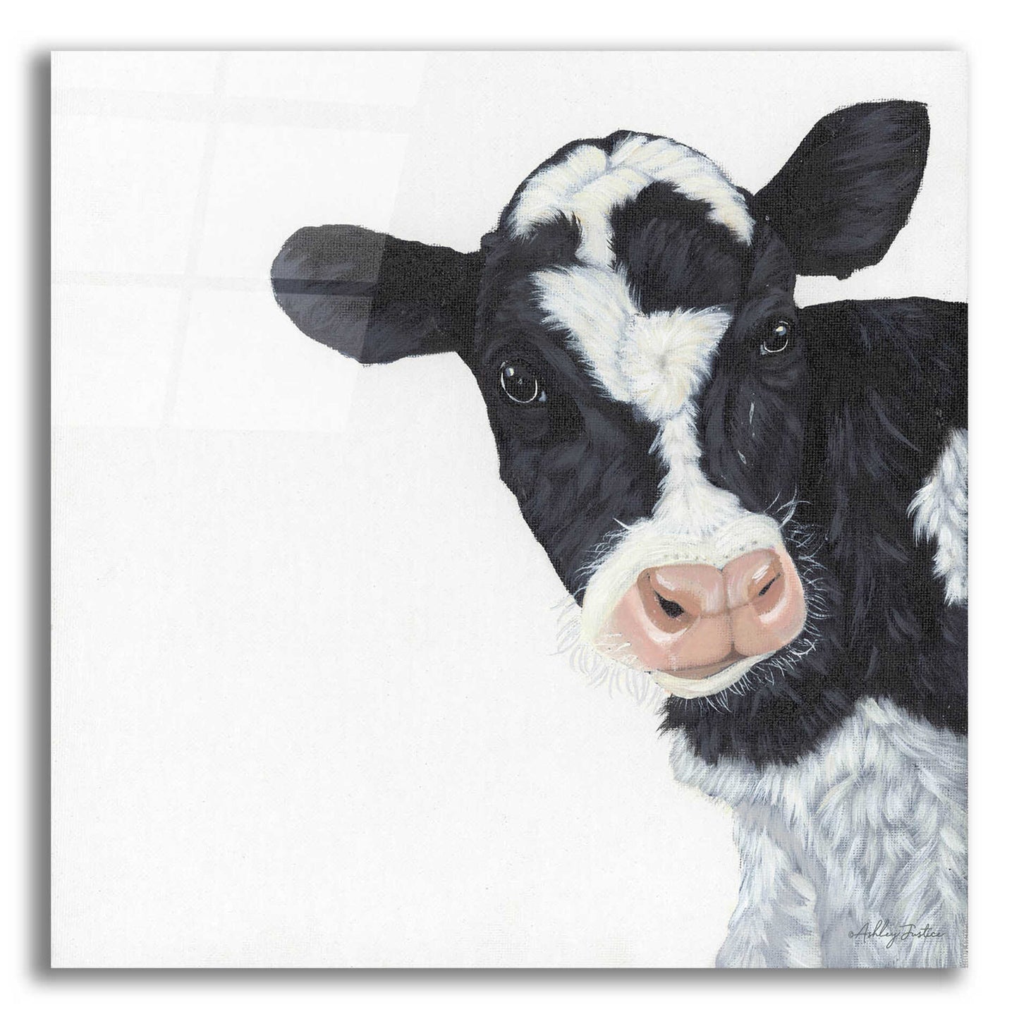 Epic Art 'Cow' by Ashley Justice, Acrylic Glass Wall Art,12x12