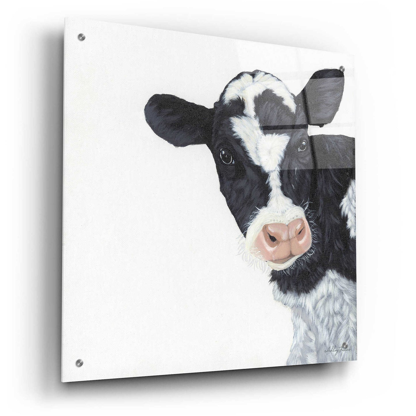 Epic Art 'Cow' by Ashley Justice, Acrylic Glass Wall Art,24x24