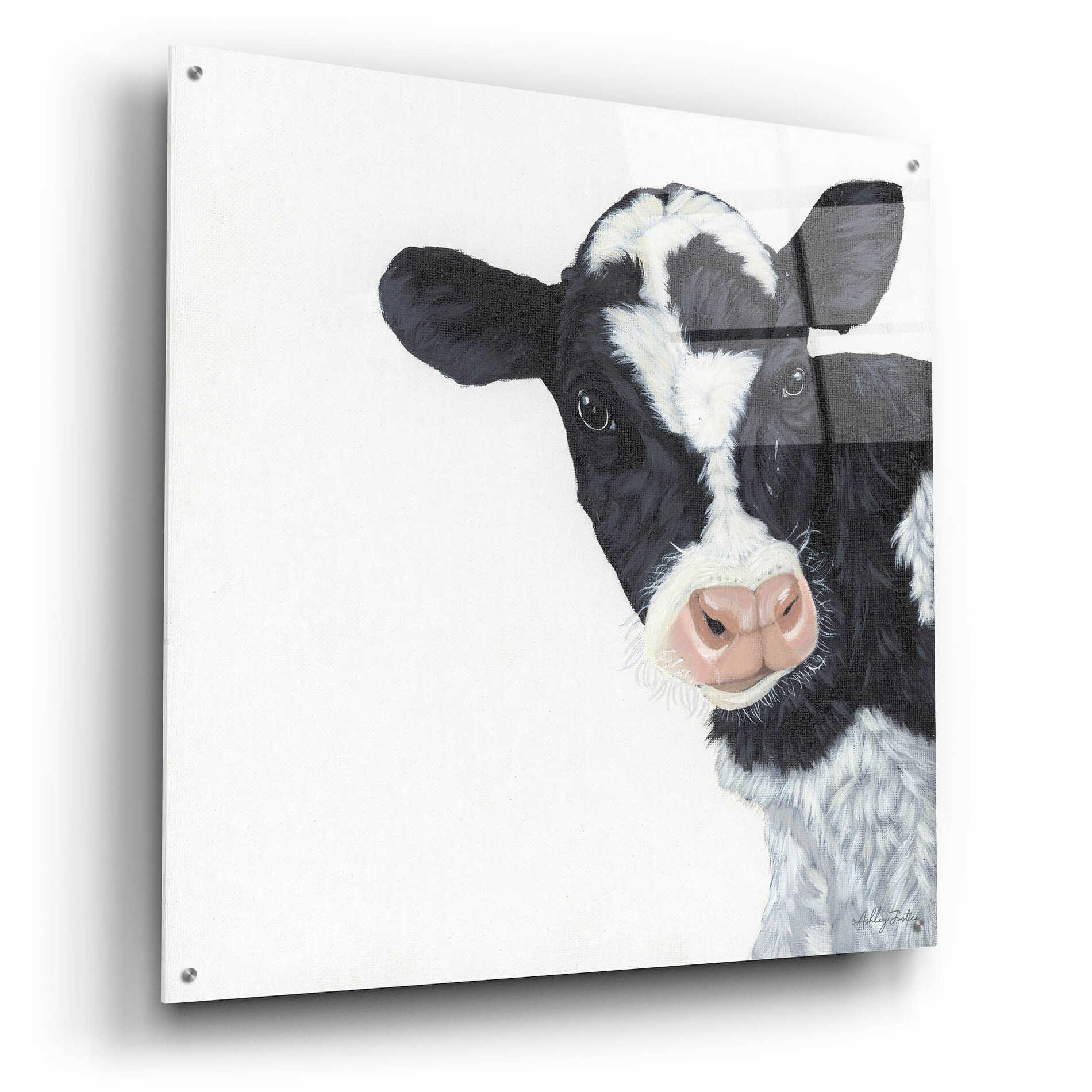 Epic Art 'Cow' by Ashley Justice, Acrylic Glass Wall Art,36x36