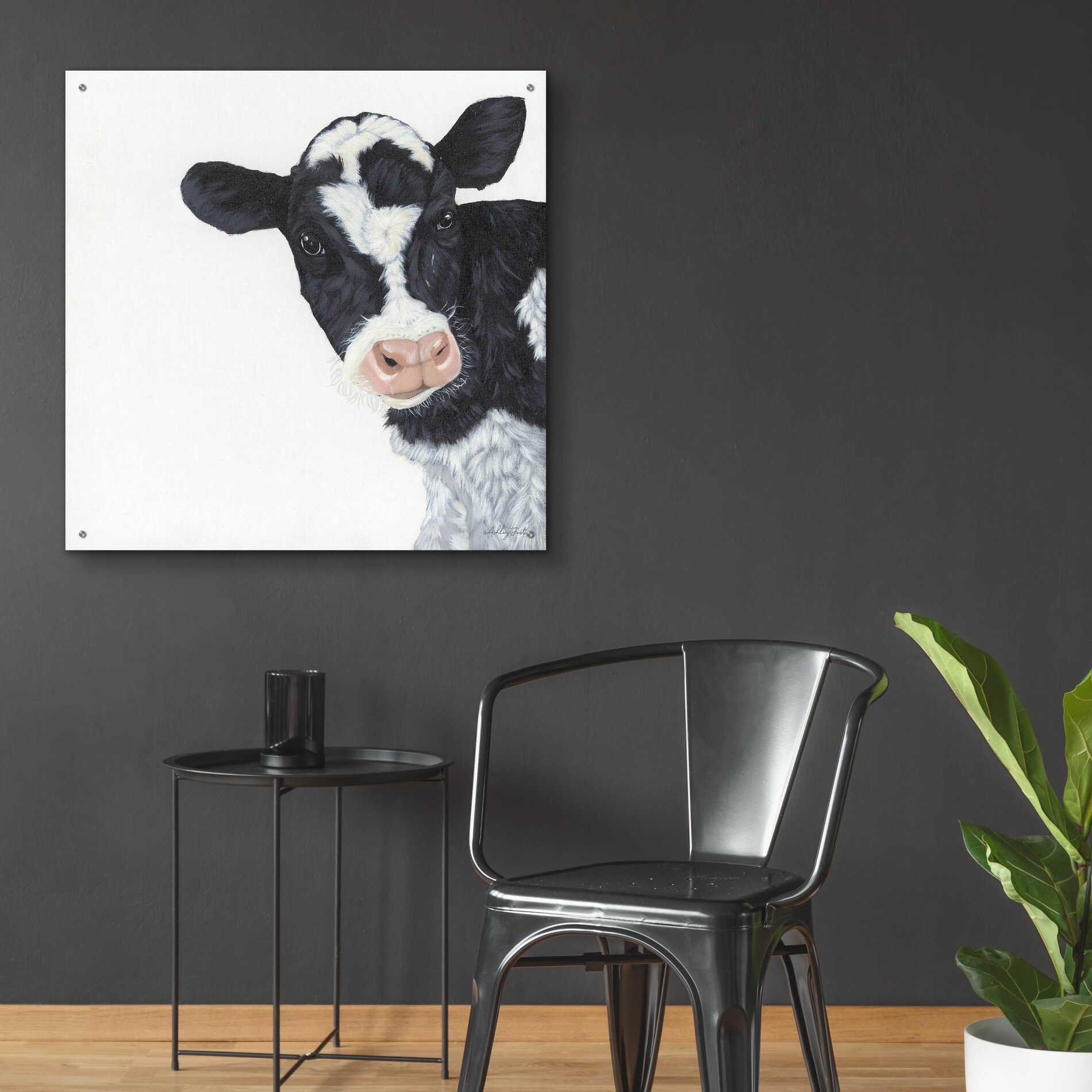 Epic Art 'Cow' by Ashley Justice, Acrylic Glass Wall Art,36x36