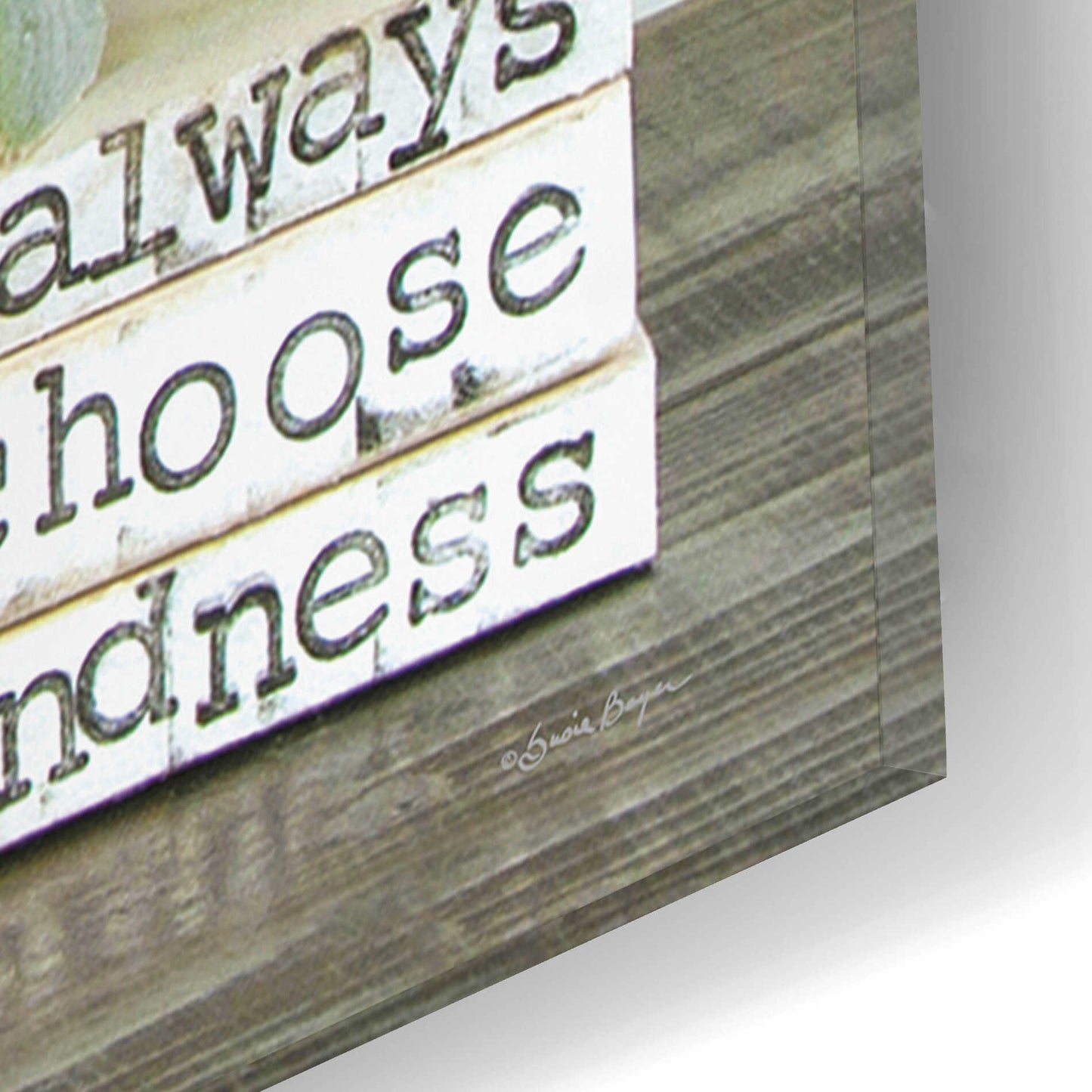 Epic Art 'Always Choose Kindness' by Susie Boyer, Acrylic Glass Wall Art,12x16