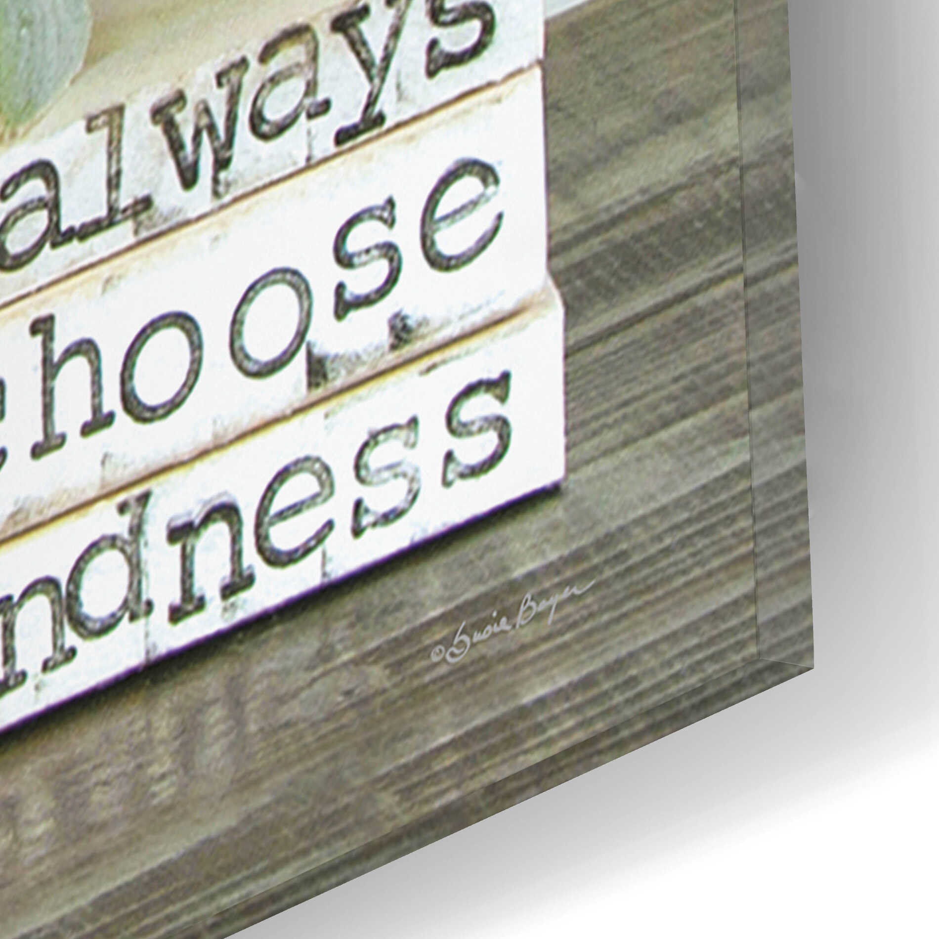 Epic Art 'Always Choose Kindness' by Susie Boyer, Acrylic Glass Wall Art,12x16