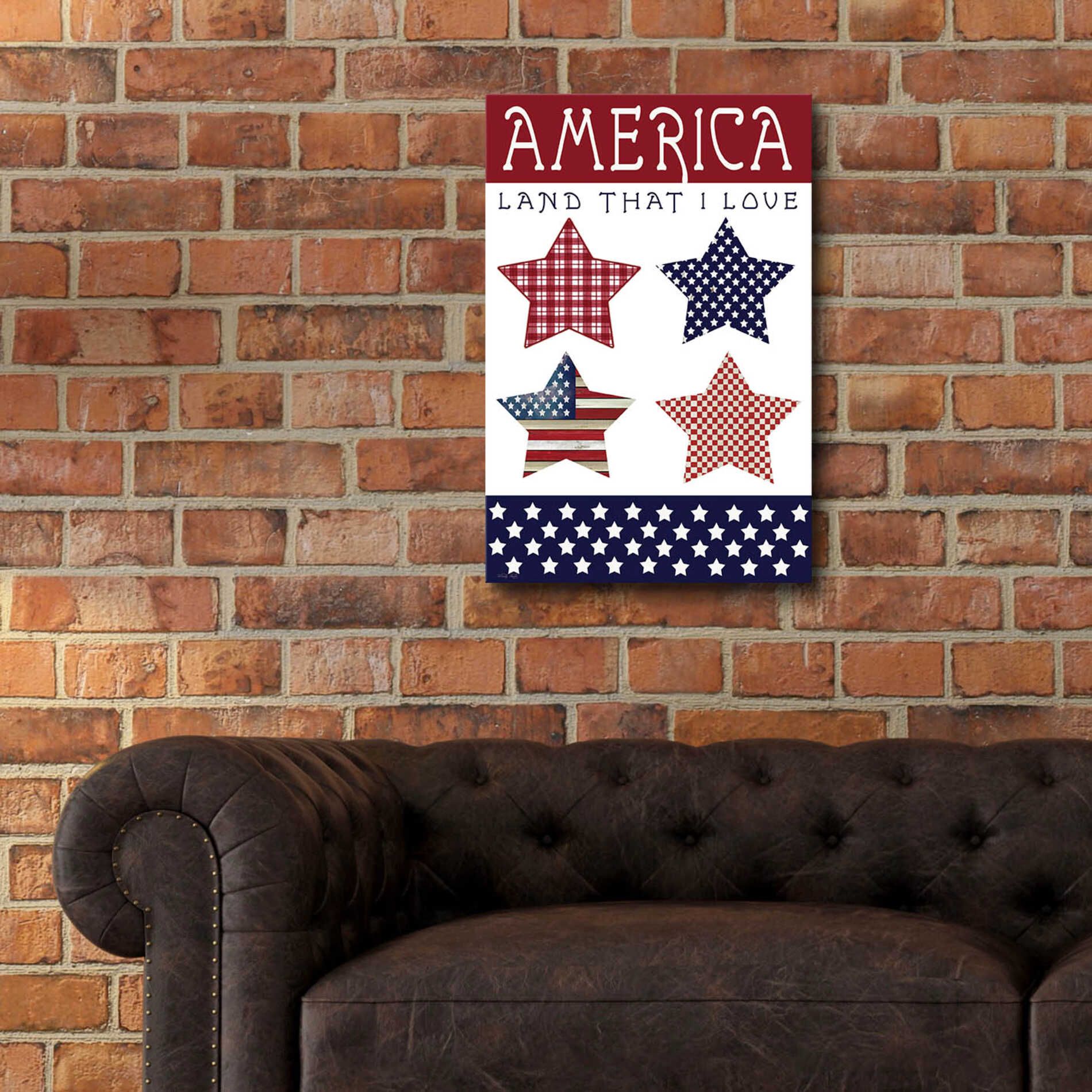 Epic Art 'Stars of America' by Cindy Jacobs, Acrylic Glass Wall Art,16x24