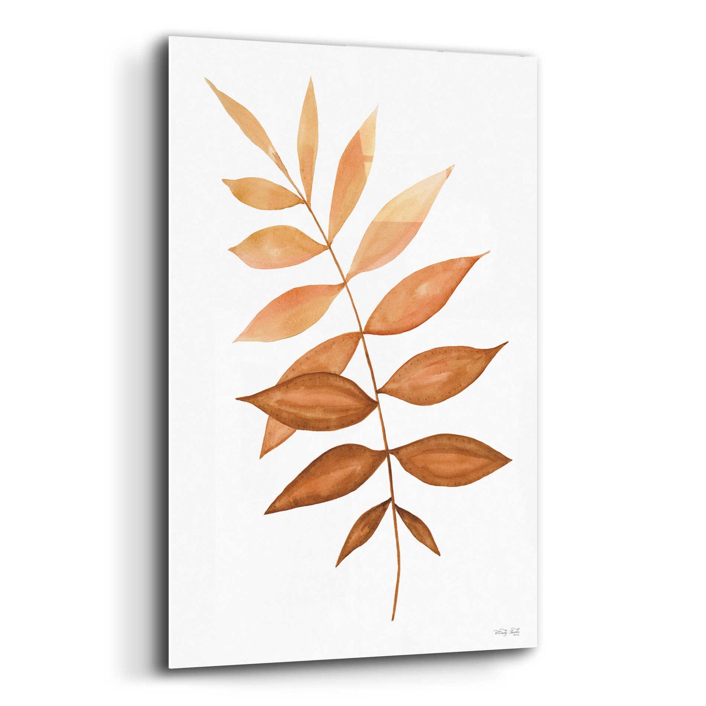 Epic Art 'Fall Leaf Stem II' by Cindy Jacobs, Acrylic Glass Wall Art,12x16