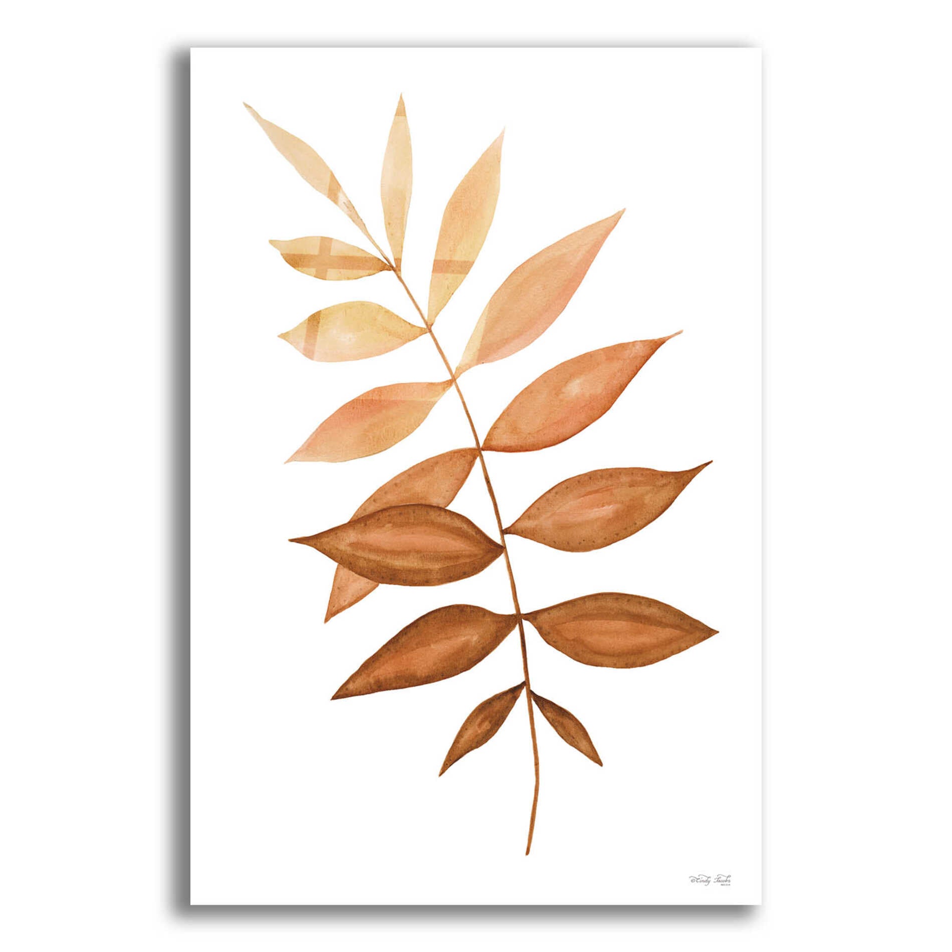 Epic Art 'Fall Leaf Stem II' by Cindy Jacobs, Acrylic Glass Wall Art,16x24