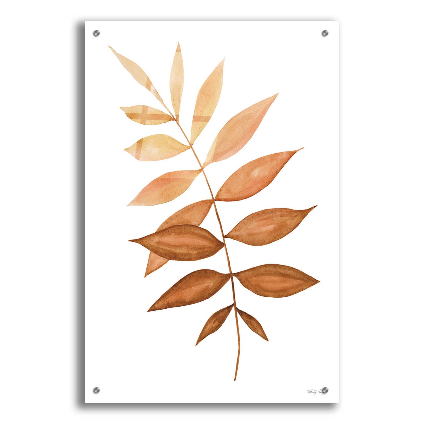 Epic Art 'Fall Leaf Stem II' by Cindy Jacobs, Acrylic Glass Wall Art,24x36