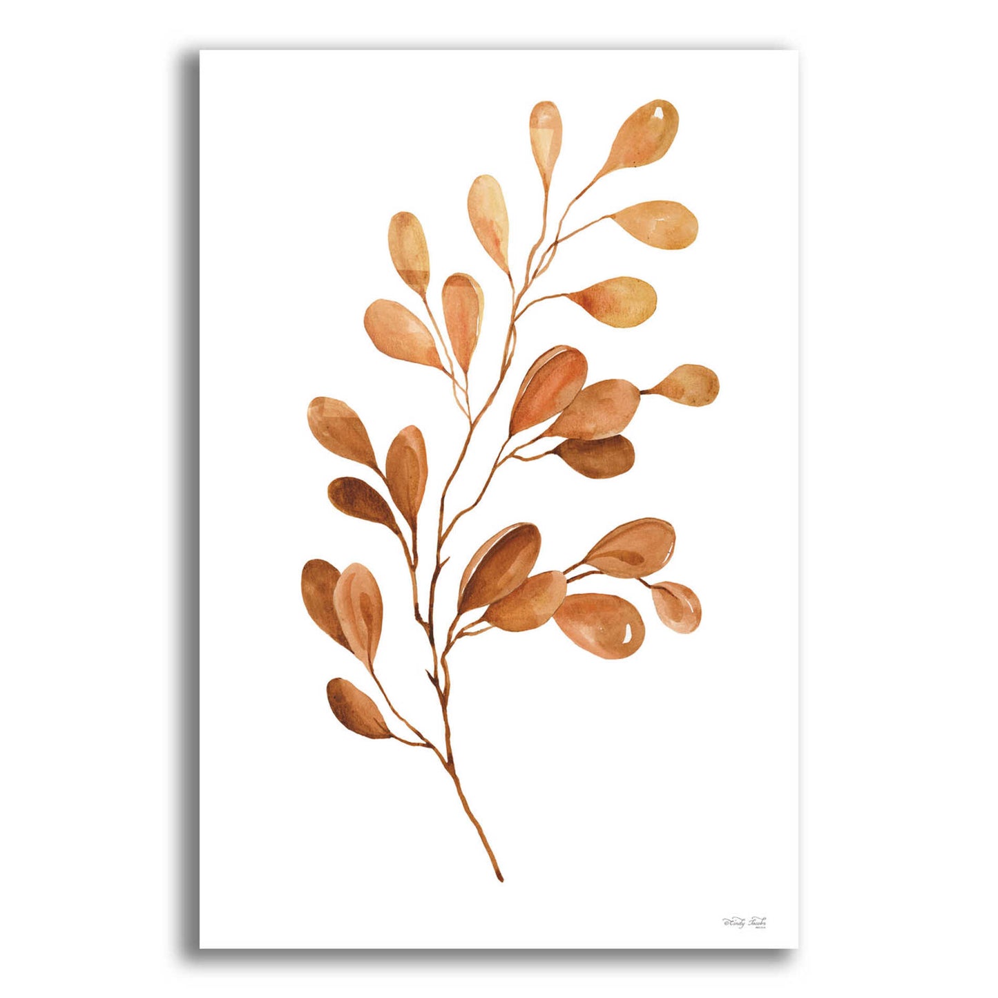 Epic Art 'Fall Leaf Stem III' by Cindy Jacobs, Acrylic Glass Wall Art,12x16