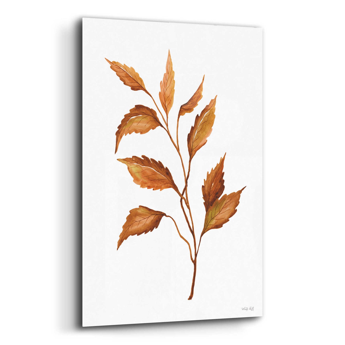 Epic Art 'Fall Leaf Stem IV' by Cindy Jacobs, Acrylic Glass Wall Art,12x16