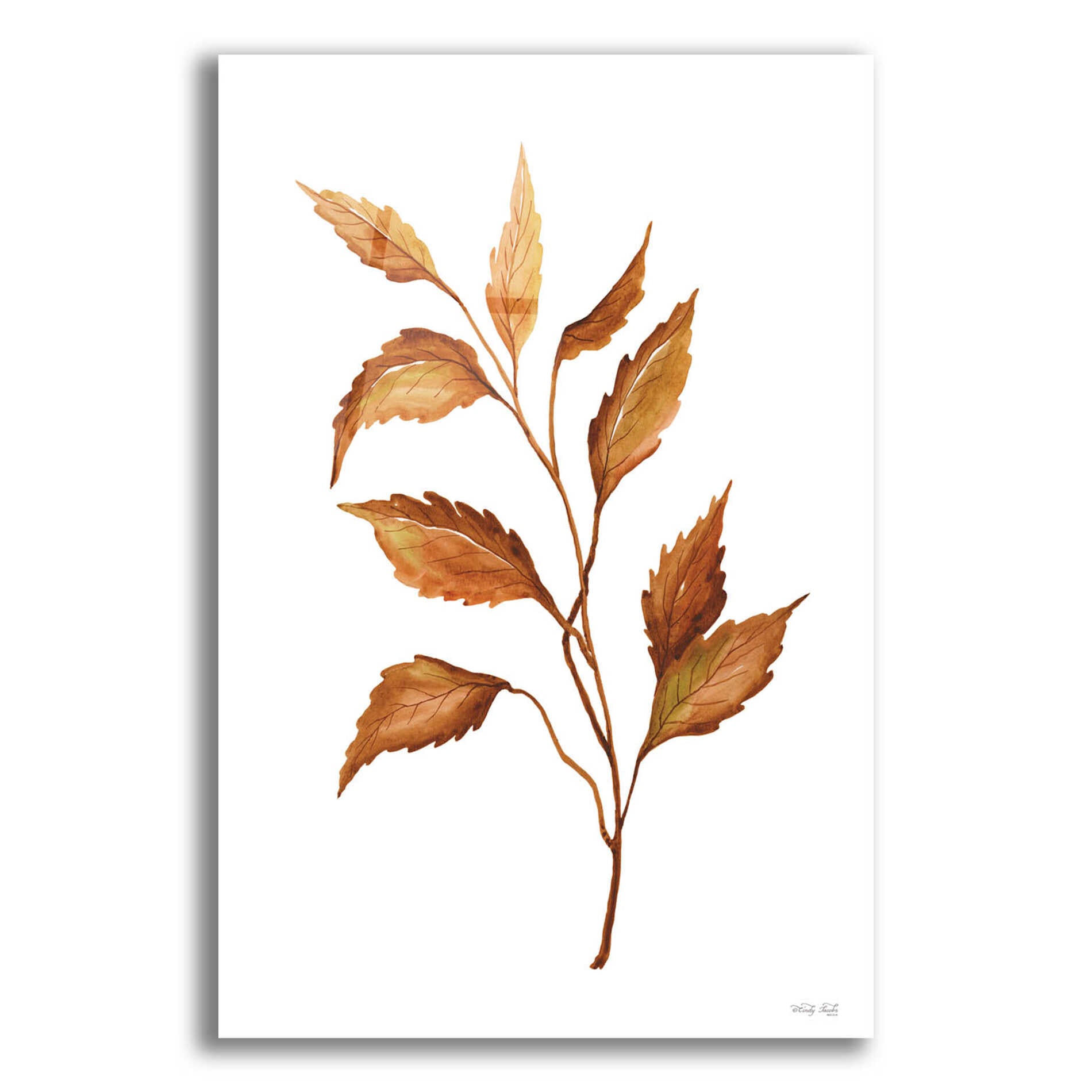 Epic Art 'Fall Leaf Stem IV' by Cindy Jacobs, Acrylic Glass Wall Art,12x16