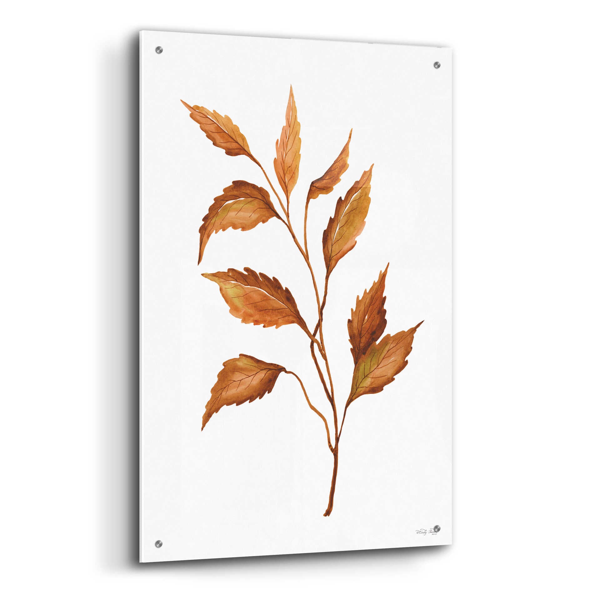 Epic Art 'Fall Leaf Stem IV' by Cindy Jacobs, Acrylic Glass Wall Art,24x36