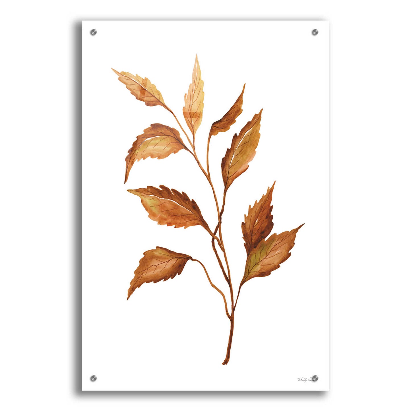 Epic Art 'Fall Leaf Stem IV' by Cindy Jacobs, Acrylic Glass Wall Art,24x36