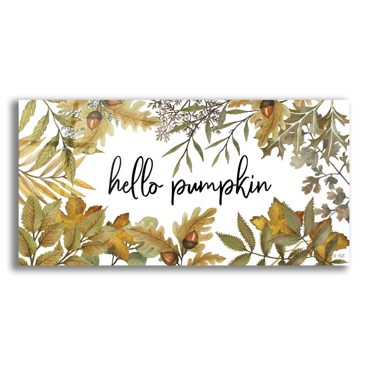 Epic Art 'Hello Pumpkin' by Cindy Jacobs, Acrylic Glass Wall Art