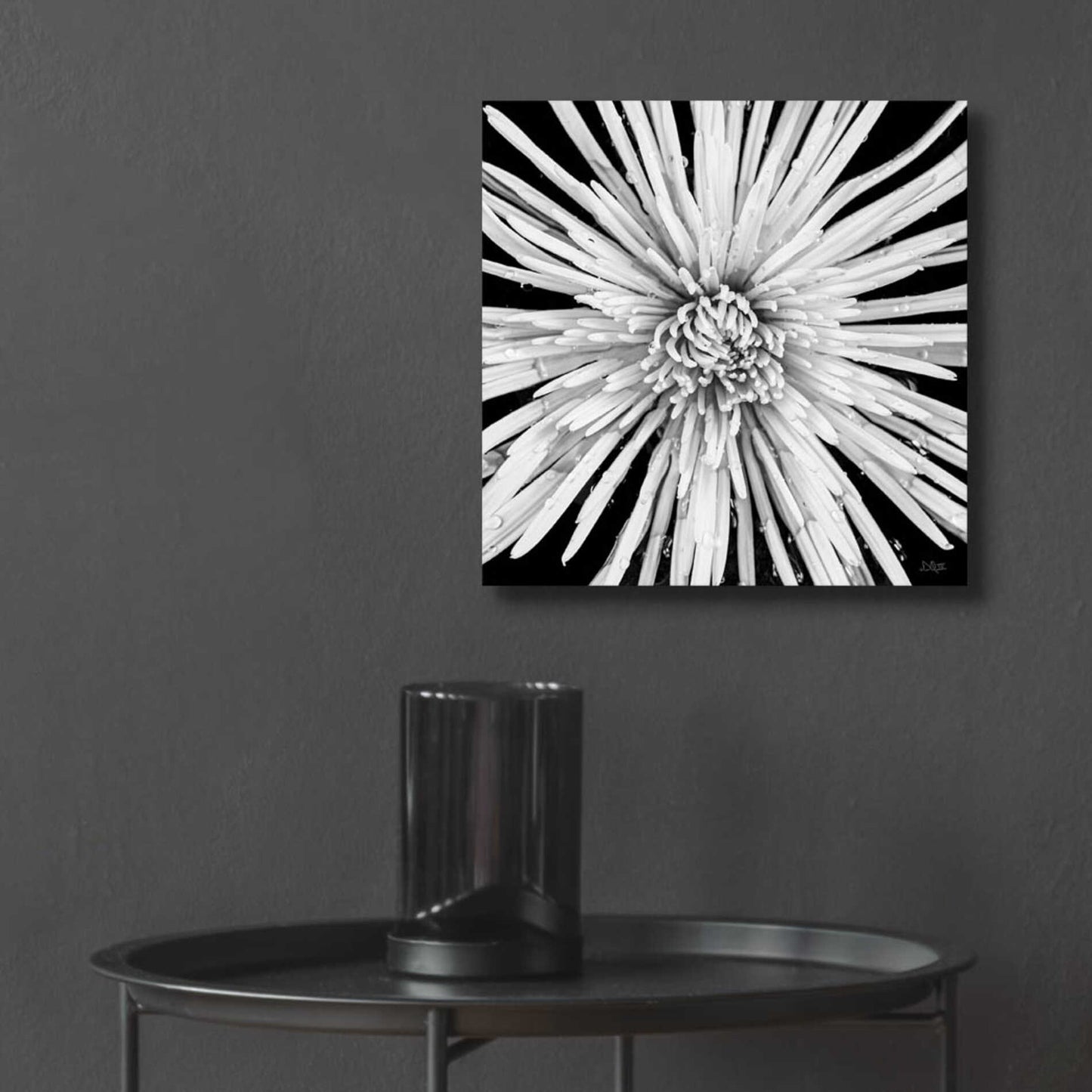 Epic Art 'Black and White Love' by Donnie Quillen, Acrylic Glass Wall Art,12x12