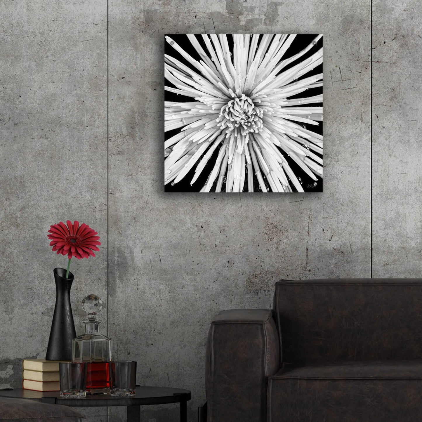 Epic Art 'Black and White Love' by Donnie Quillen, Acrylic Glass Wall Art,24x24