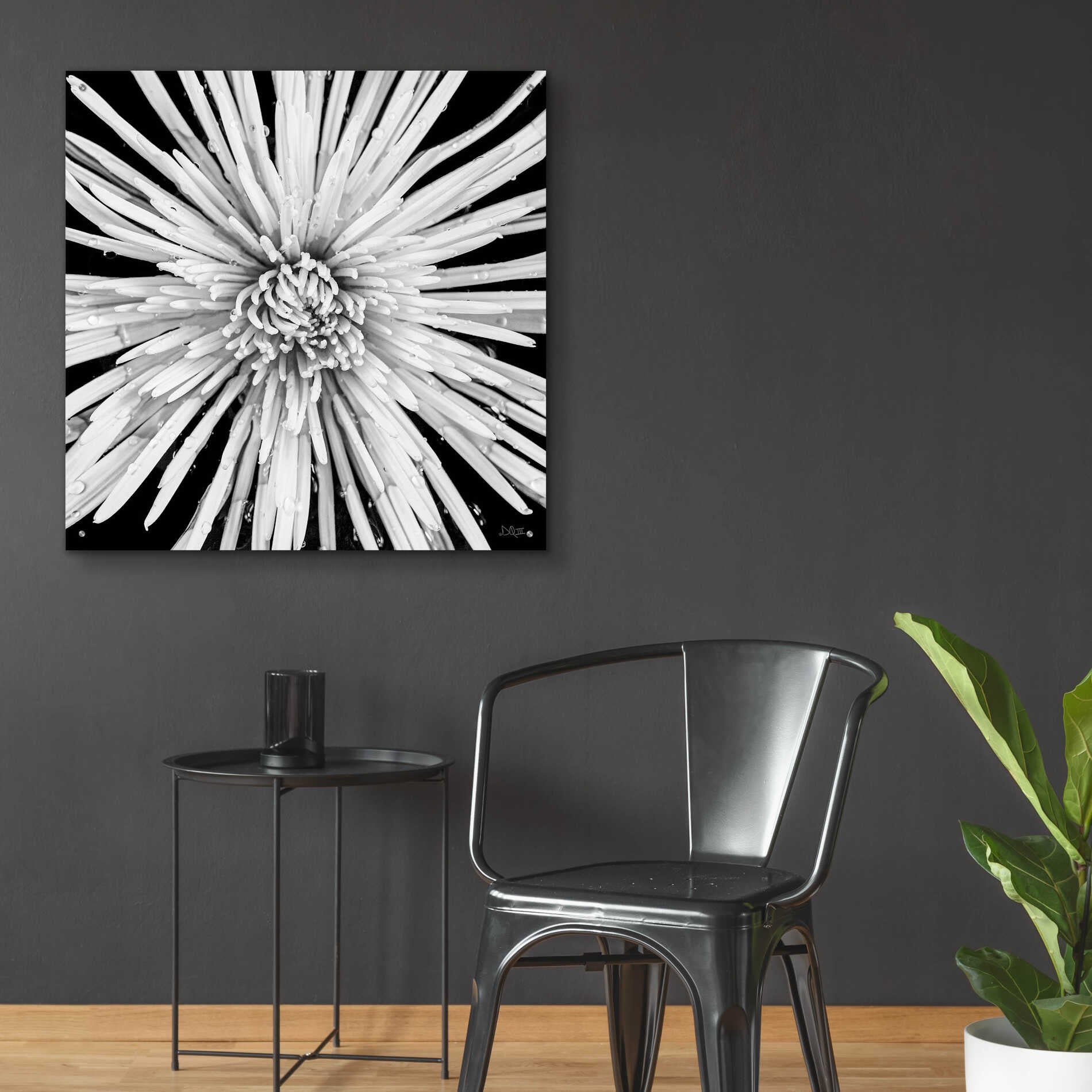 Epic Art 'Black and White Love' by Donnie Quillen, Acrylic Glass Wall Art,36x36