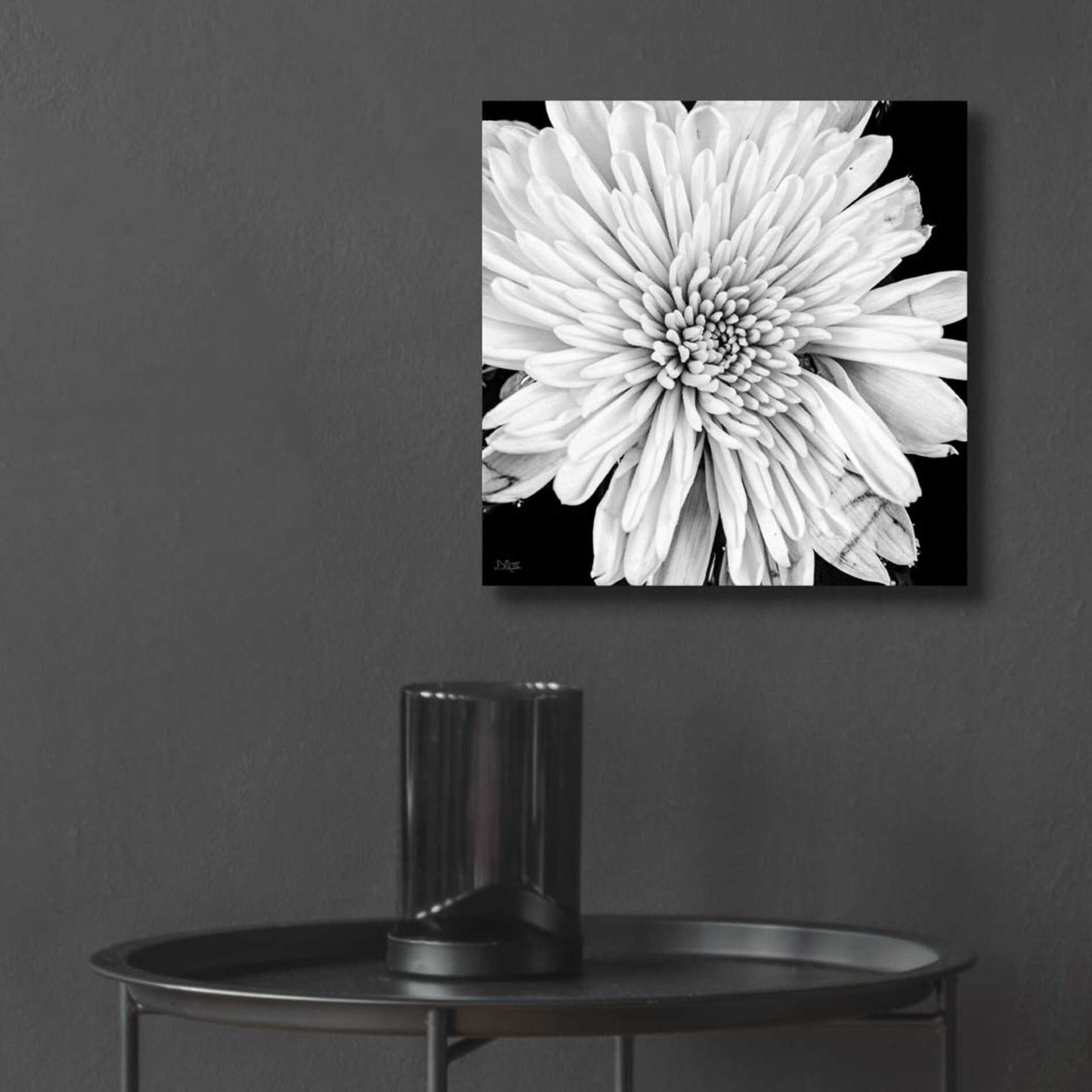 Epic Art 'Black and White Love II' by Donnie Quillen, Acrylic Glass Wall Art,12x12