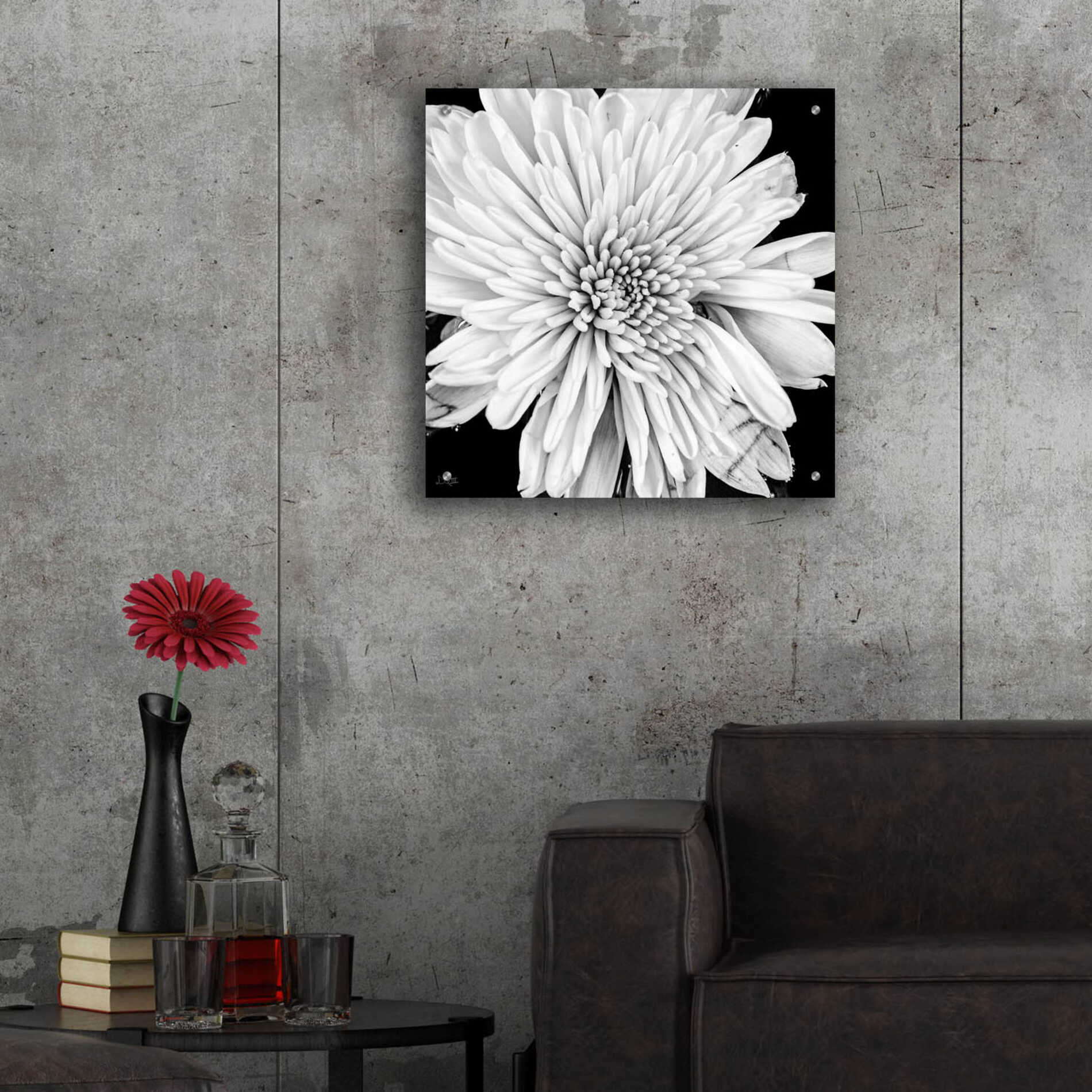 Epic Art 'Black and White Love II' by Donnie Quillen, Acrylic Glass Wall Art,24x24