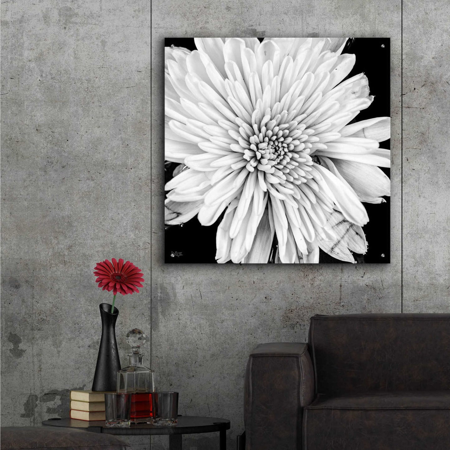 Epic Art 'Black and White Love II' by Donnie Quillen, Acrylic Glass Wall Art,36x36