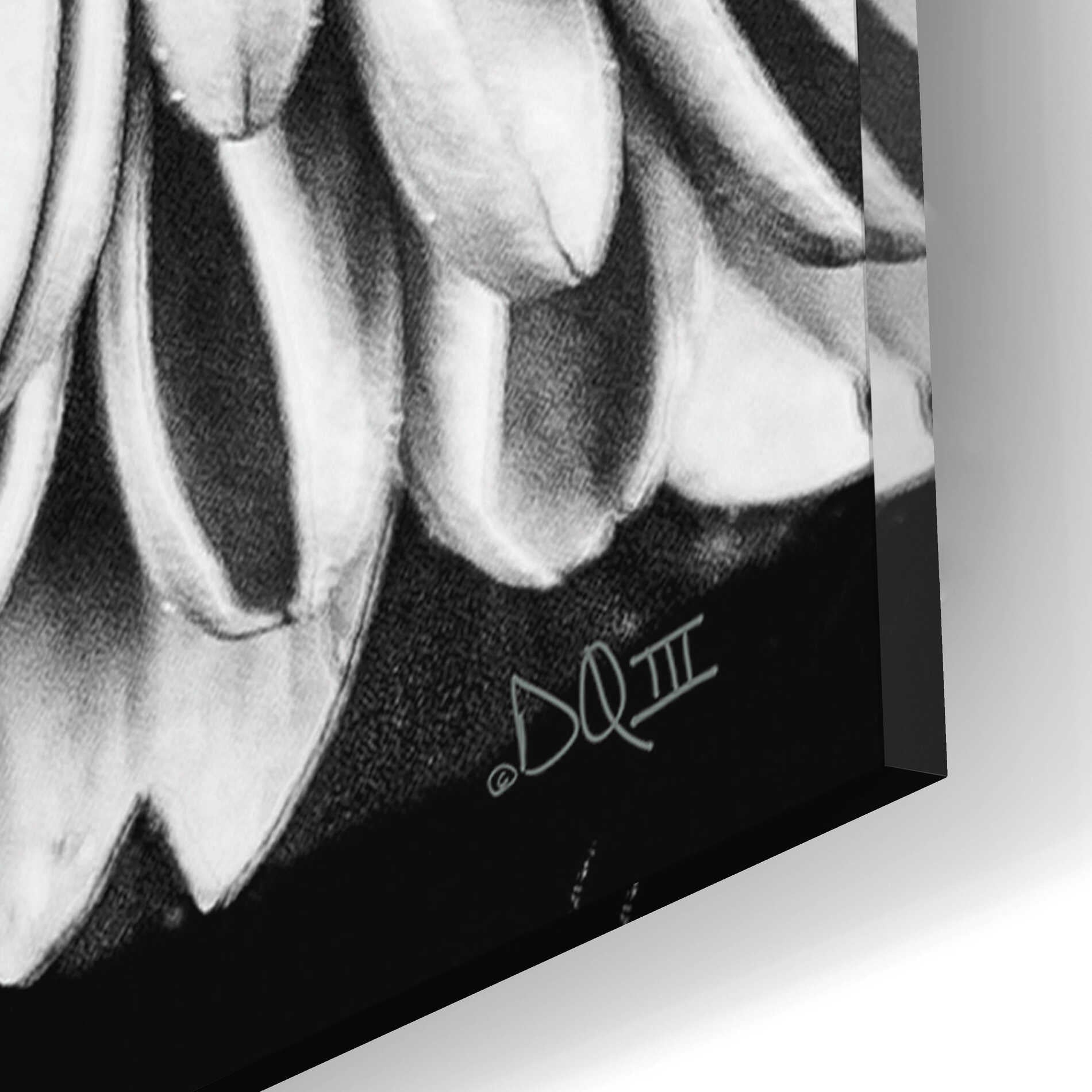 Epic Art 'Black and White Flower Love II' by Donnie Quillen, Acrylic Glass Wall Art,12x12