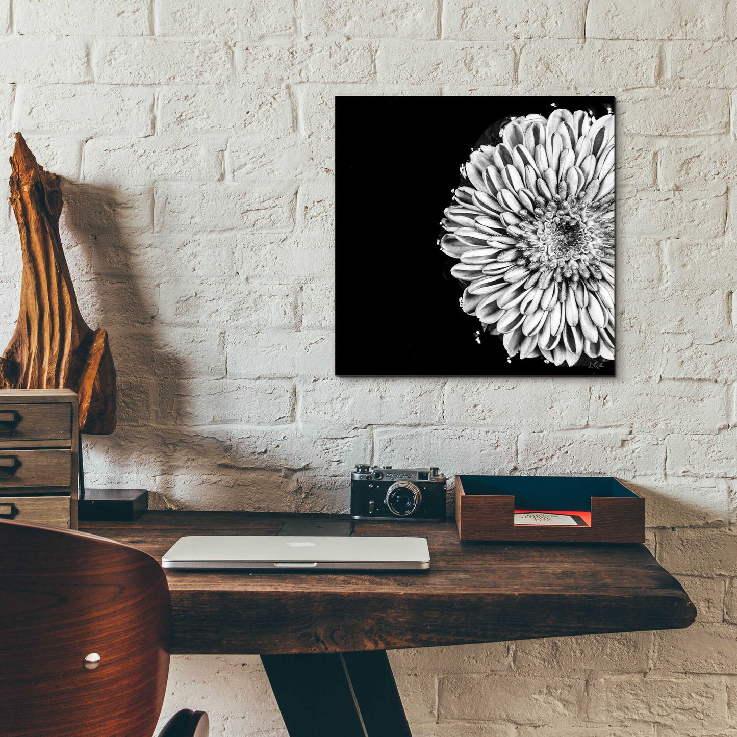 Epic Art 'Black and White Flower Love II' by Donnie Quillen, Acrylic Glass Wall Art,12x12