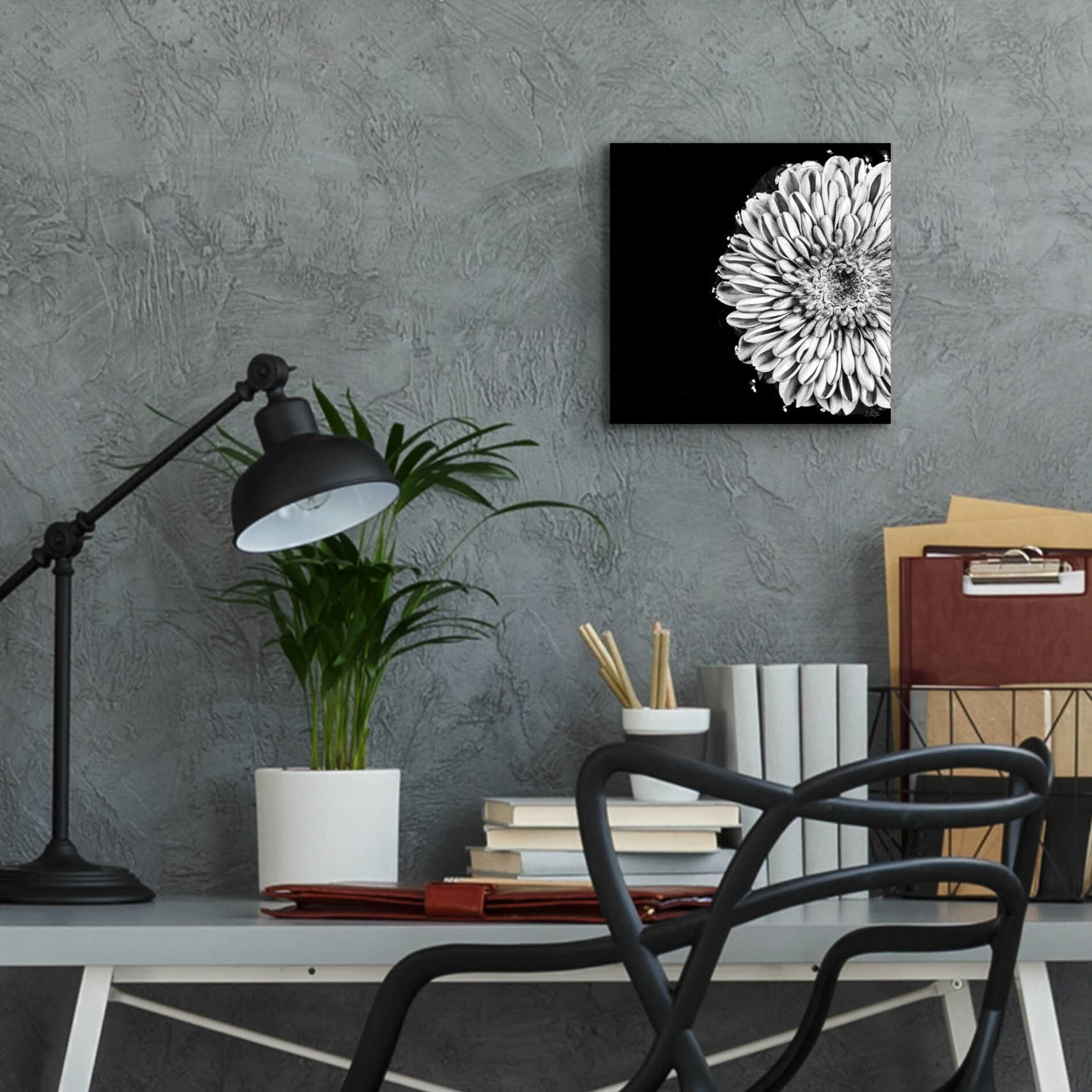 Epic Art 'Black and White Flower Love II' by Donnie Quillen, Acrylic Glass Wall Art,12x12