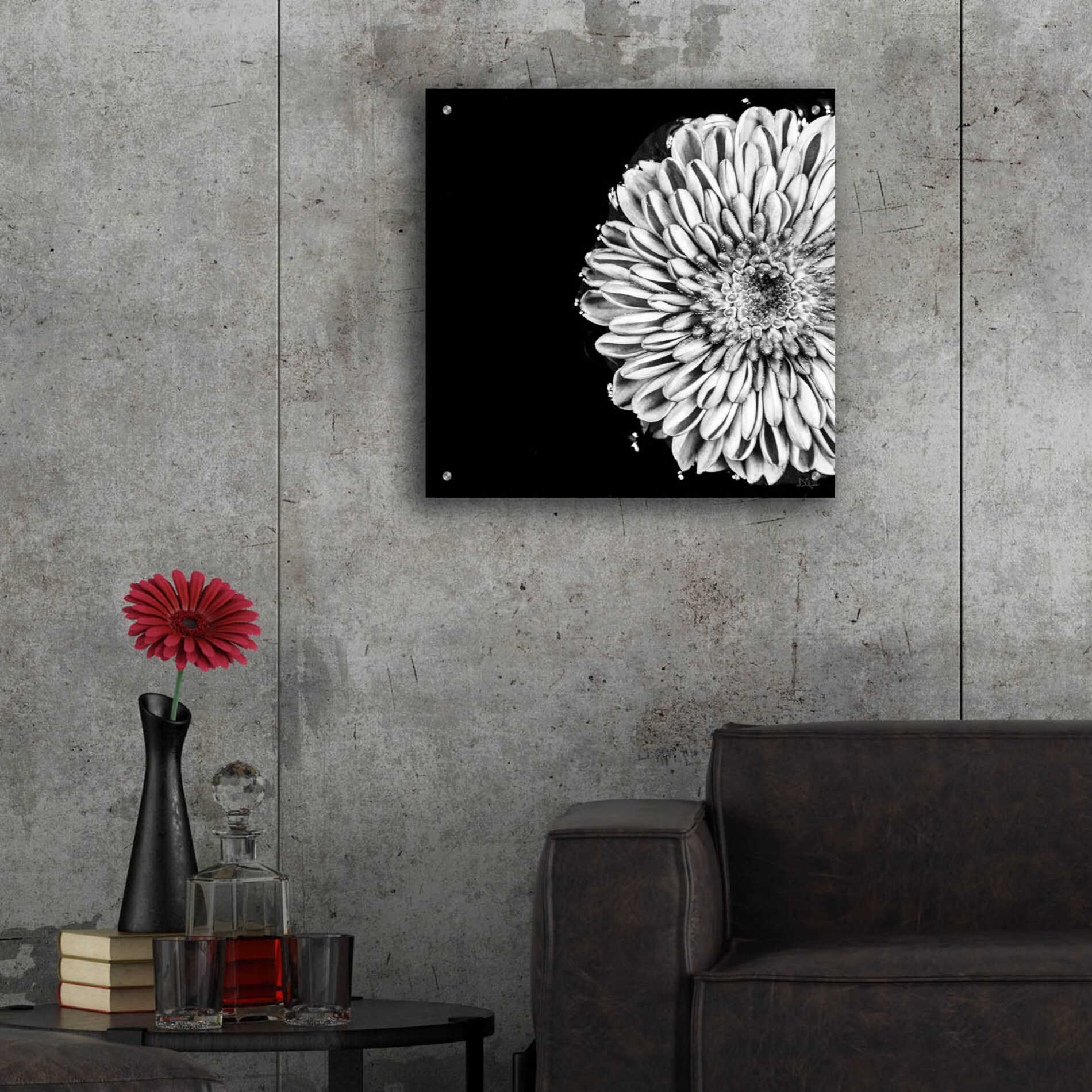 Epic Art 'Black and White Flower Love II' by Donnie Quillen, Acrylic Glass Wall Art,24x24