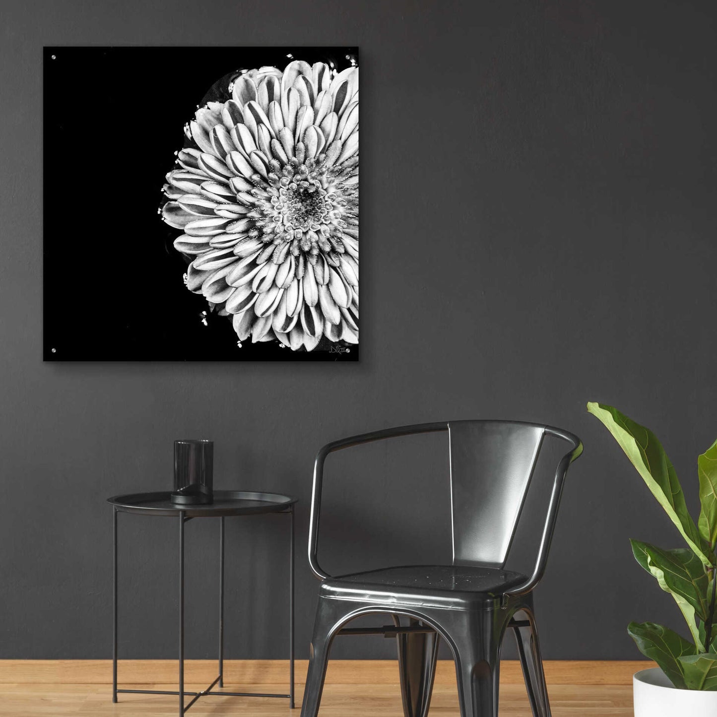 Epic Art 'Black and White Flower Love II' by Donnie Quillen, Acrylic Glass Wall Art,36x36