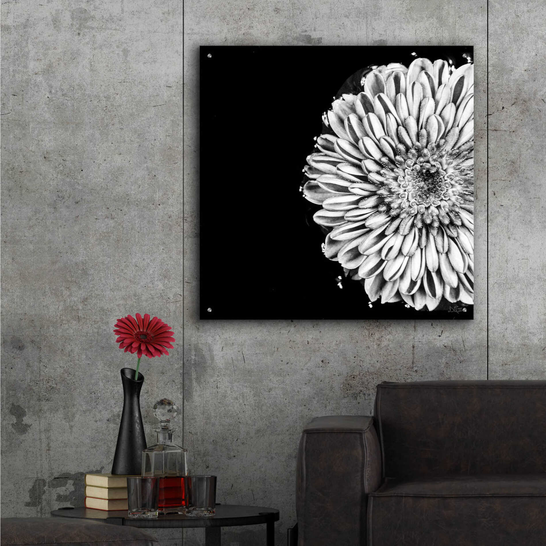 Epic Art 'Black and White Flower Love II' by Donnie Quillen, Acrylic Glass Wall Art,36x36