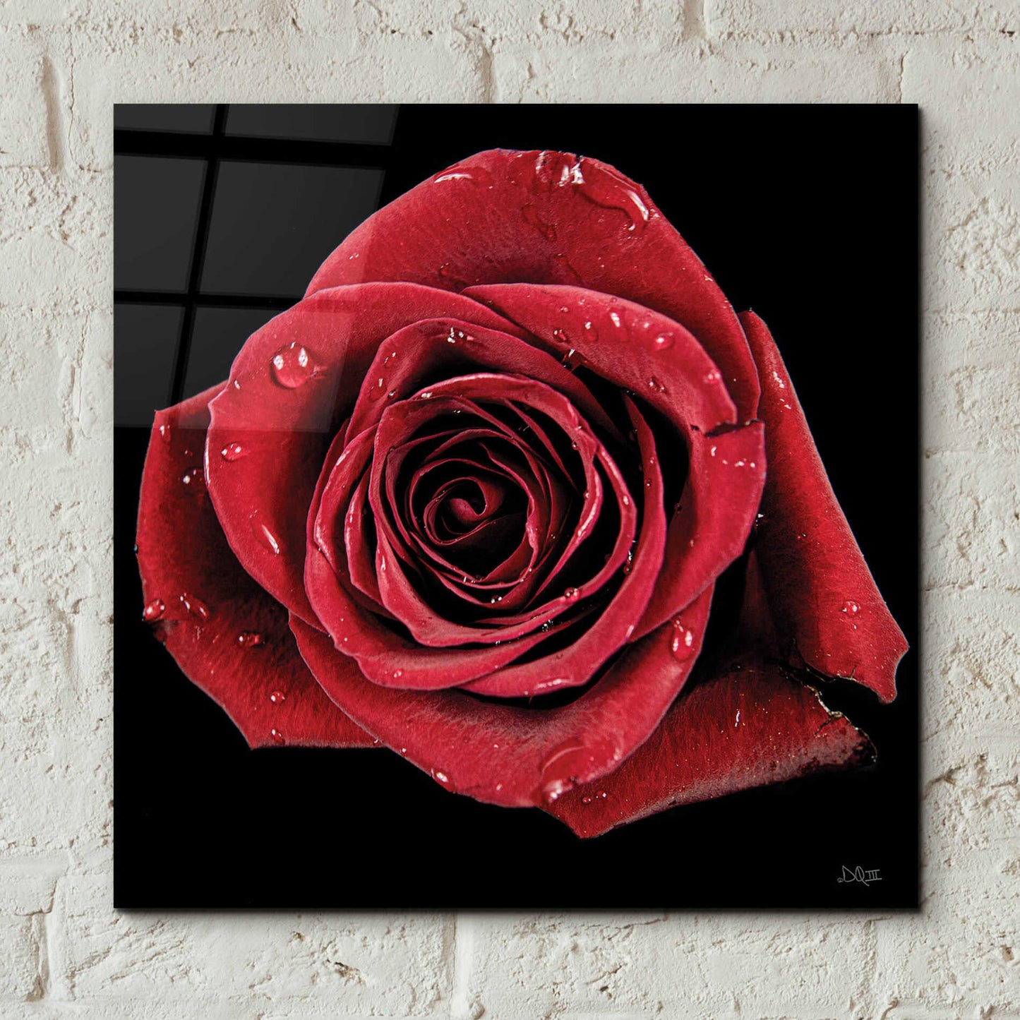 Epic Art 'Broken Heart Rose' by Donnie Quillen, Acrylic Glass Wall Art,12x12