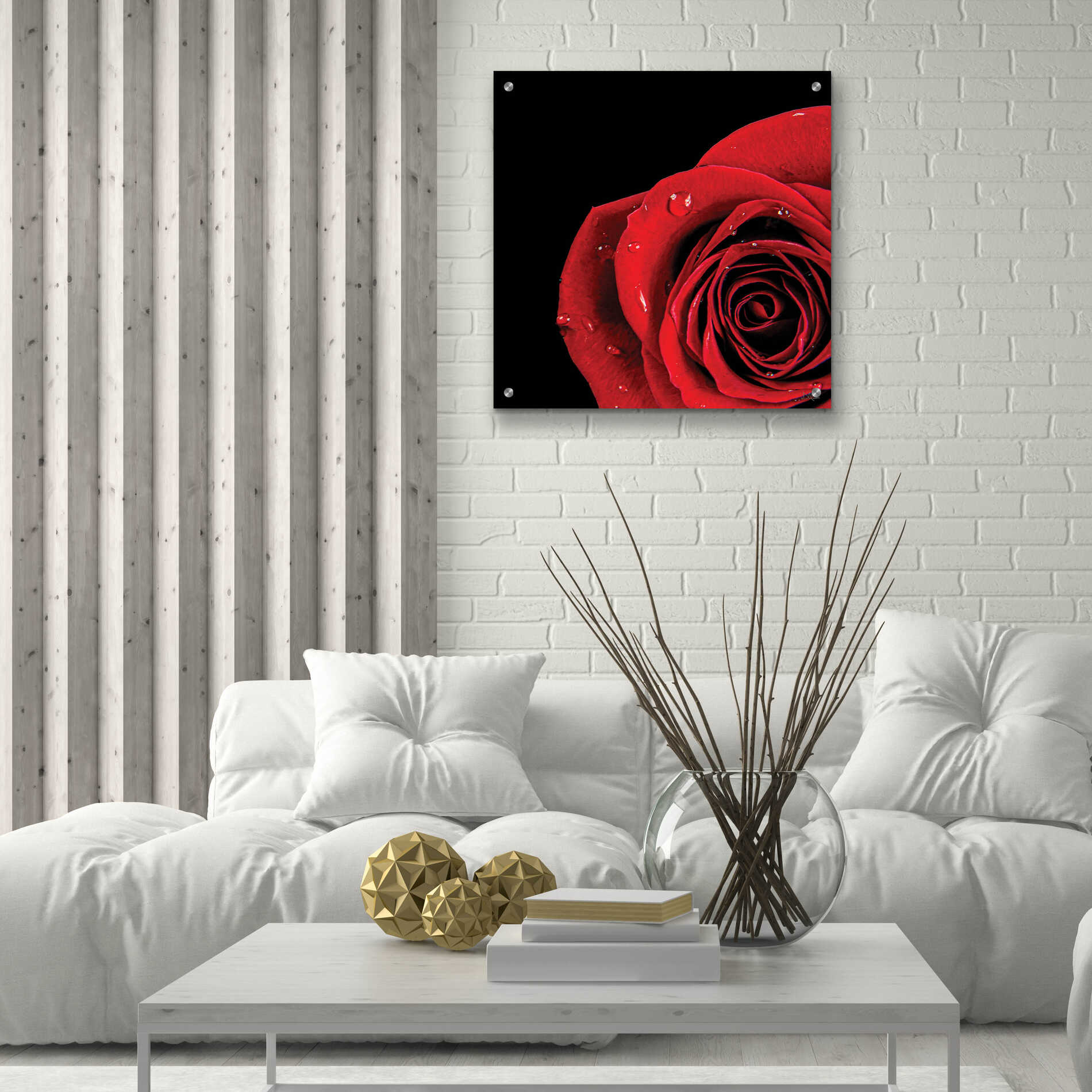 Epic Art 'Pop of Red Rose' by Donnie Quillen, Acrylic Glass Wall Art,24x24