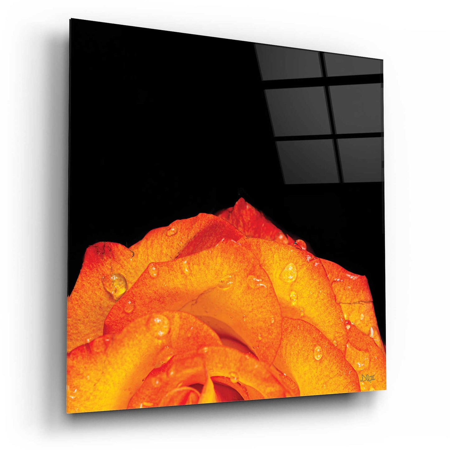 Epic Art 'Orange Petals' by Donnie Quillen, Acrylic Glass Wall Art,12x12