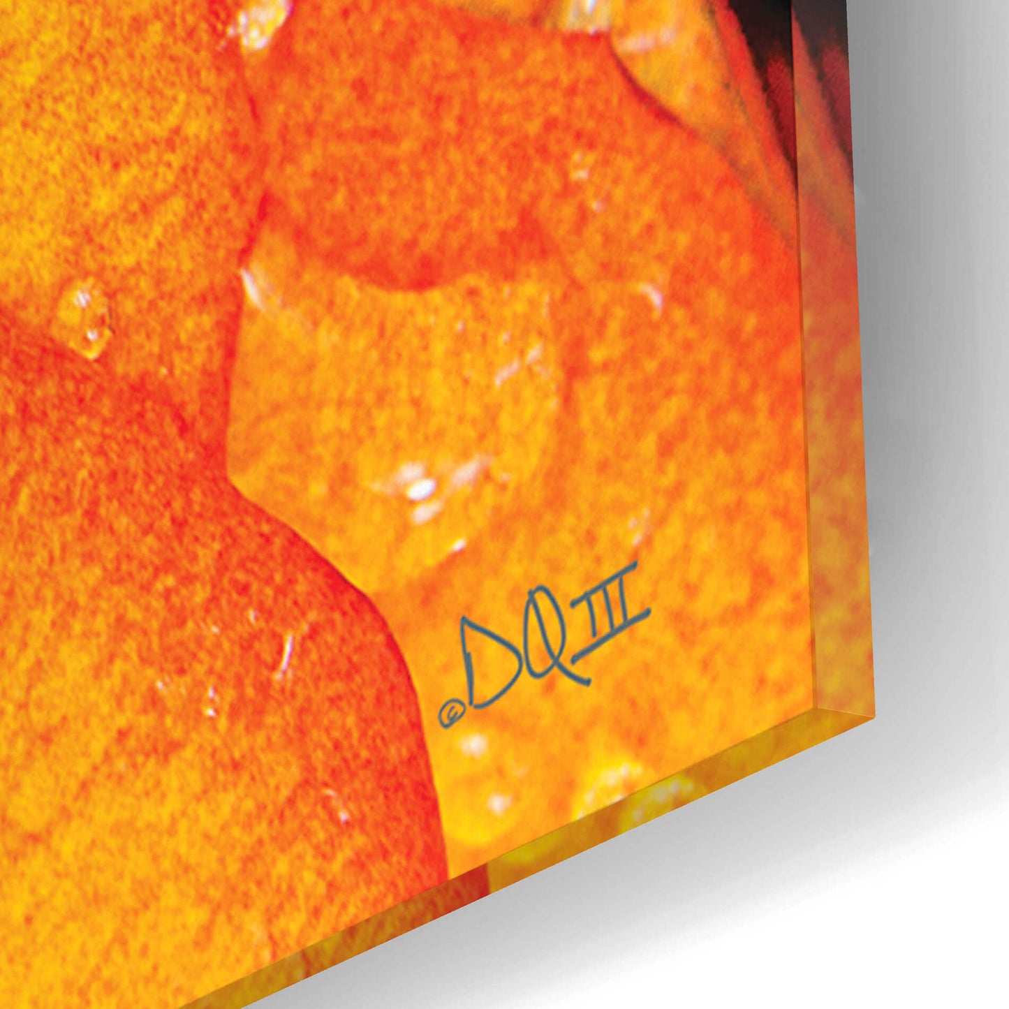 Epic Art 'Orange Petals' by Donnie Quillen, Acrylic Glass Wall Art,12x12