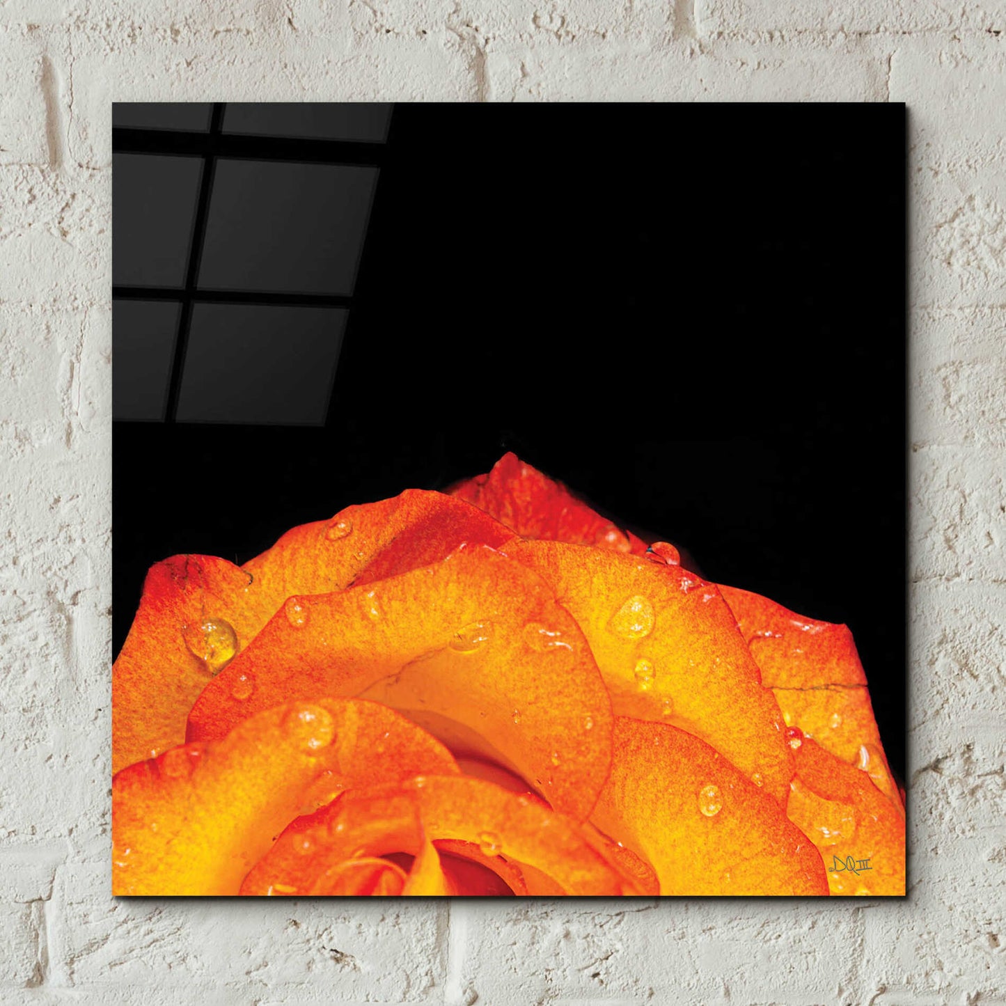 Epic Art 'Orange Petals' by Donnie Quillen, Acrylic Glass Wall Art,12x12