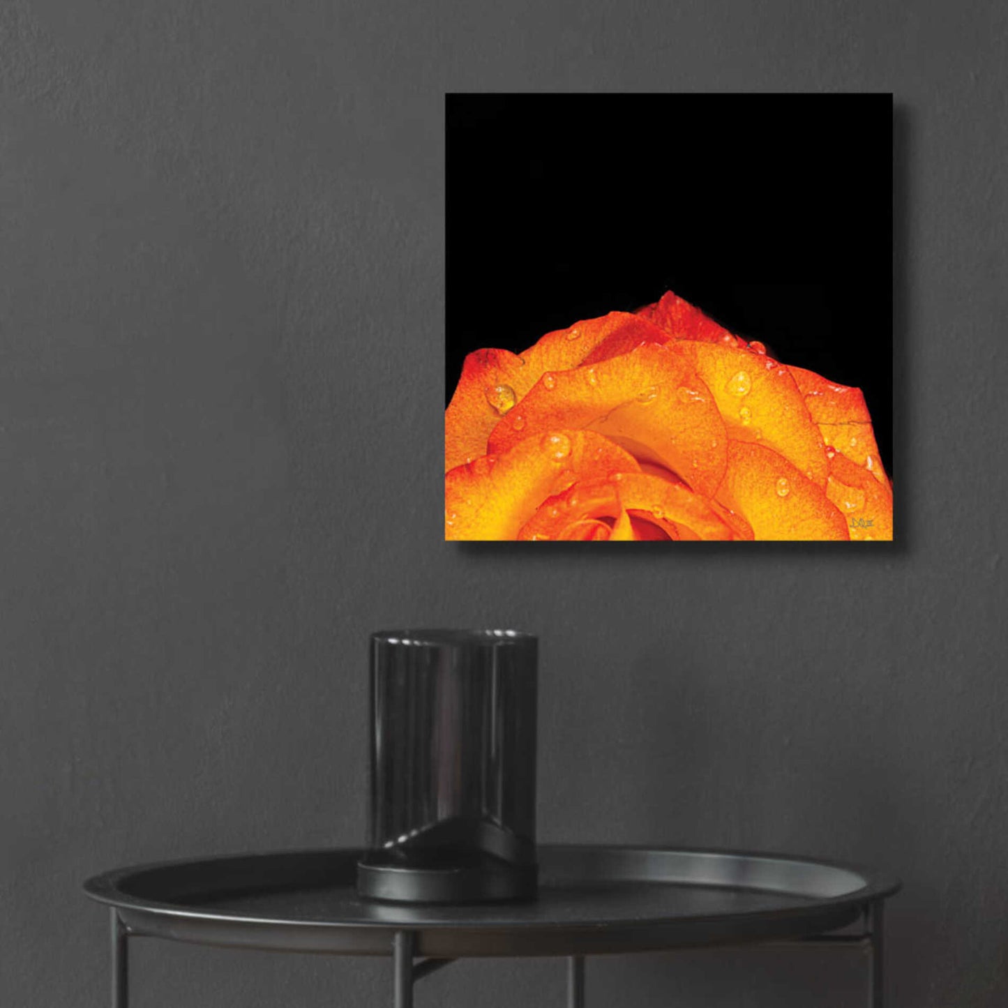 Epic Art 'Orange Petals' by Donnie Quillen, Acrylic Glass Wall Art,12x12