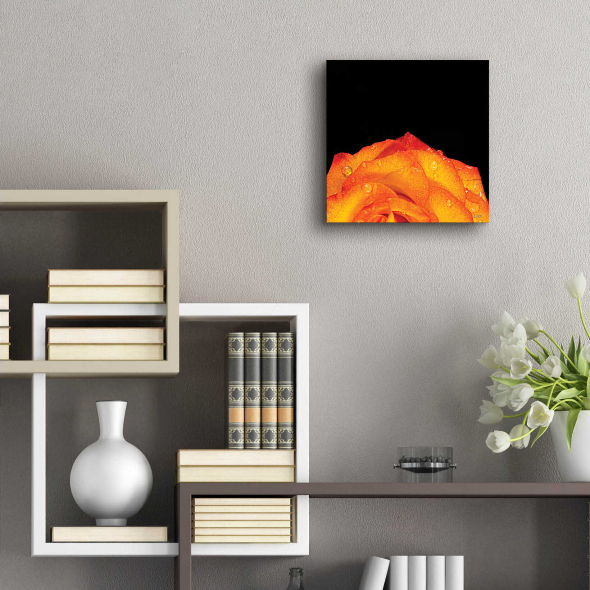 Epic Art 'Orange Petals' by Donnie Quillen, Acrylic Glass Wall Art,12x12