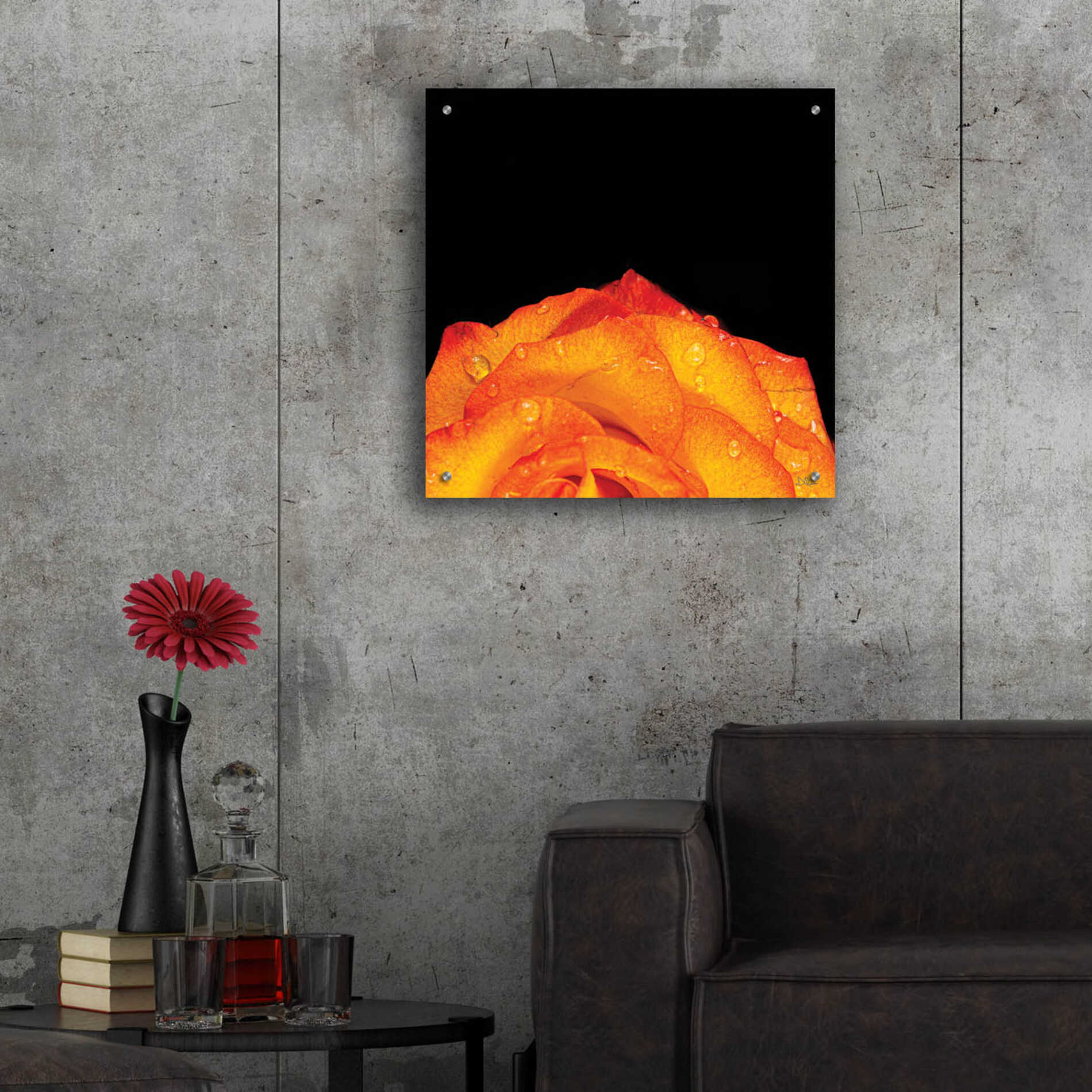 Epic Art 'Orange Petals' by Donnie Quillen, Acrylic Glass Wall Art,24x24