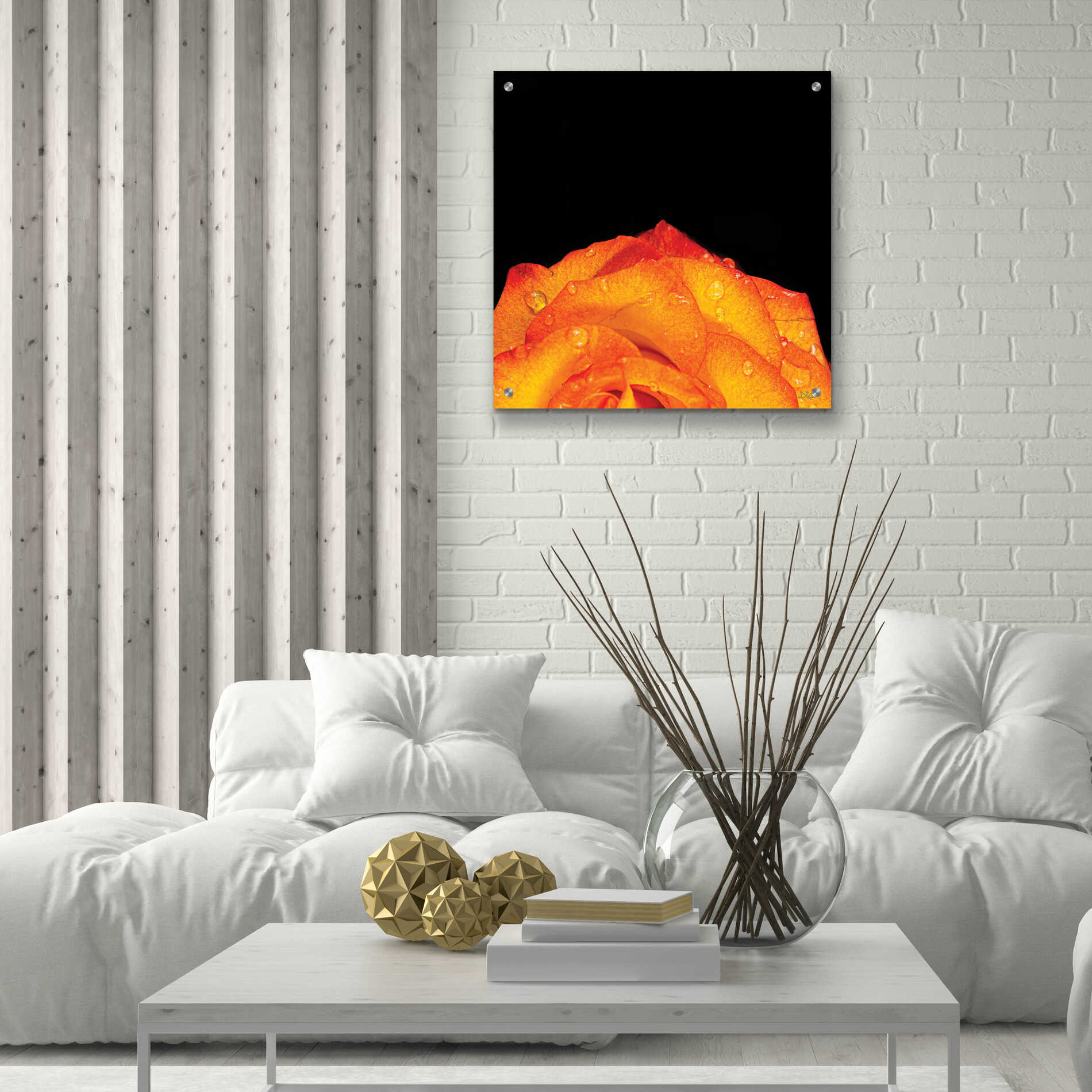 Epic Art 'Orange Petals' by Donnie Quillen, Acrylic Glass Wall Art,24x24