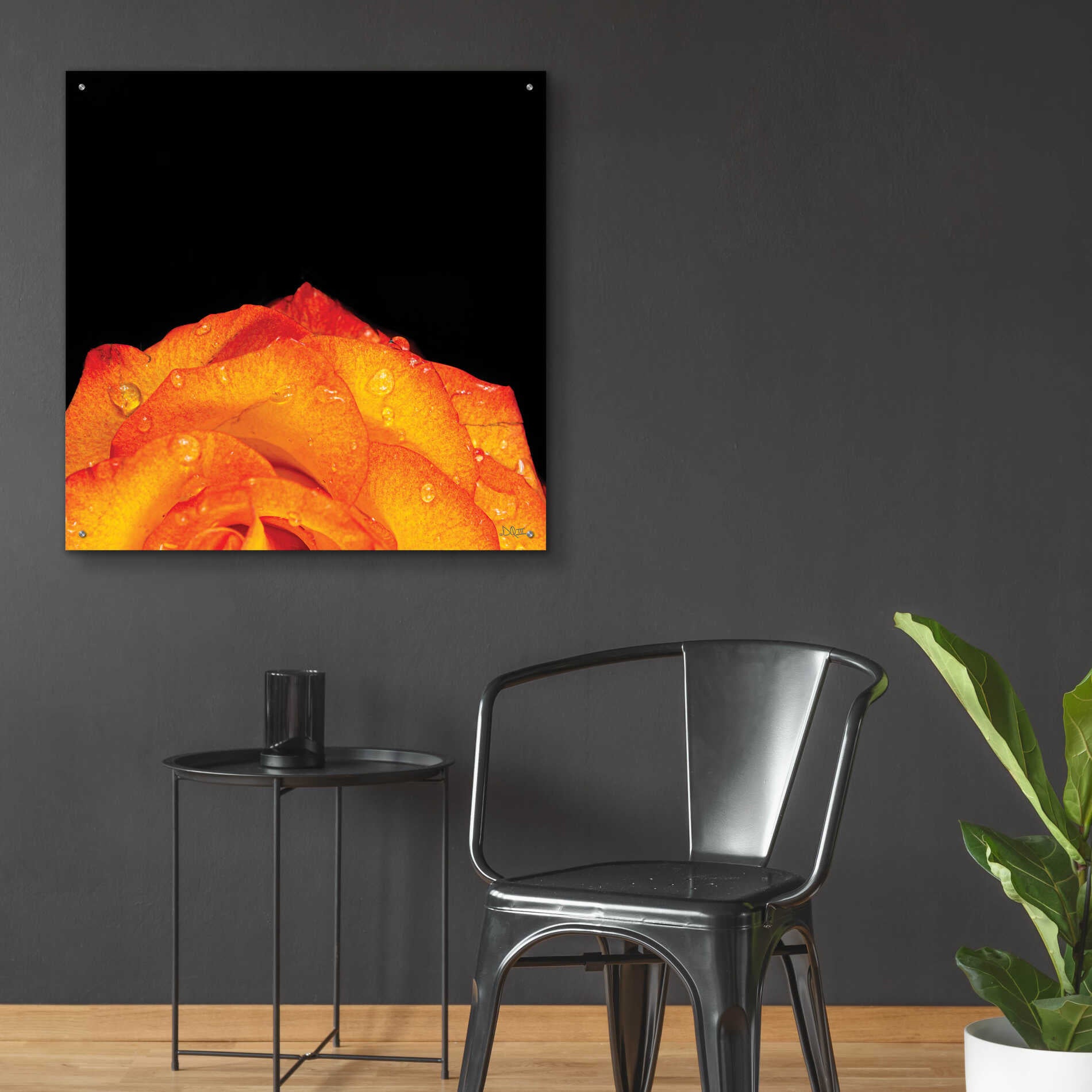 Epic Art 'Orange Petals' by Donnie Quillen, Acrylic Glass Wall Art,36x36